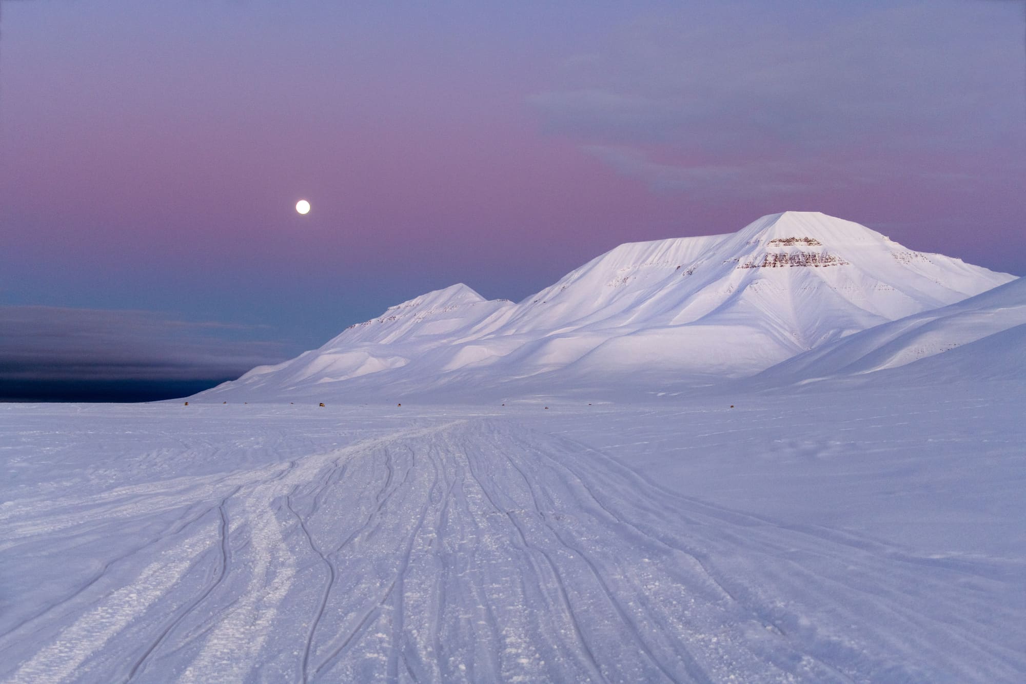 Norvège – Au pays des ours, photo 3