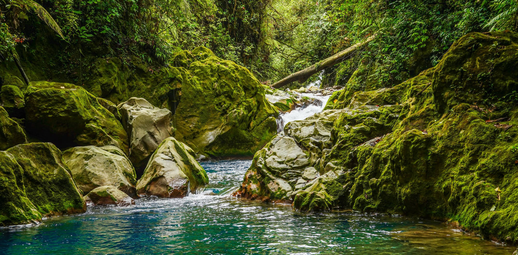 Costa Rica – En liberté, photo 3