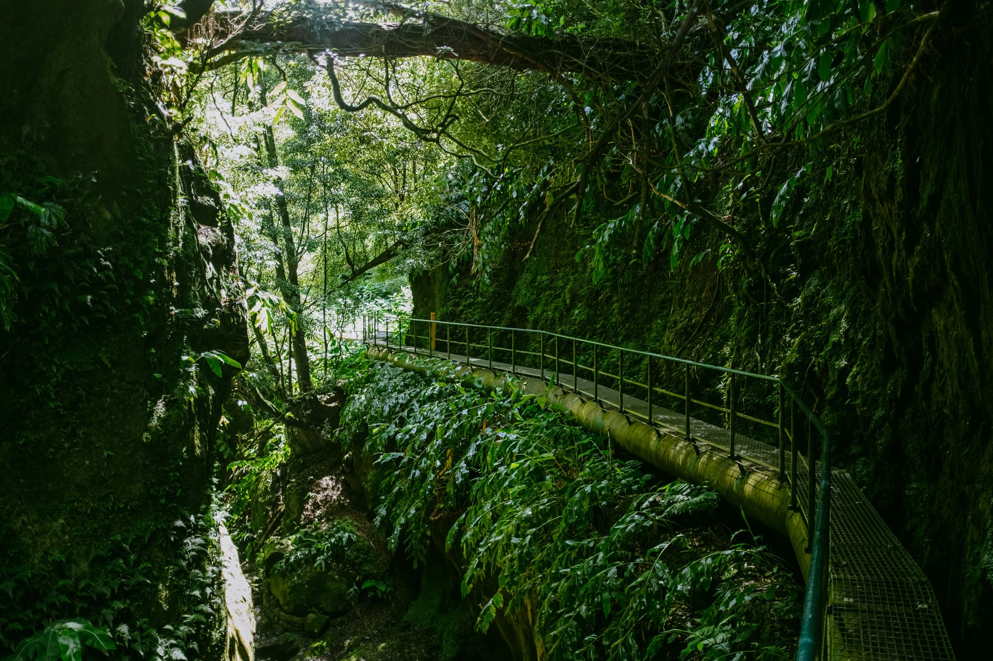 Les Açores – Up & Down, photo 7