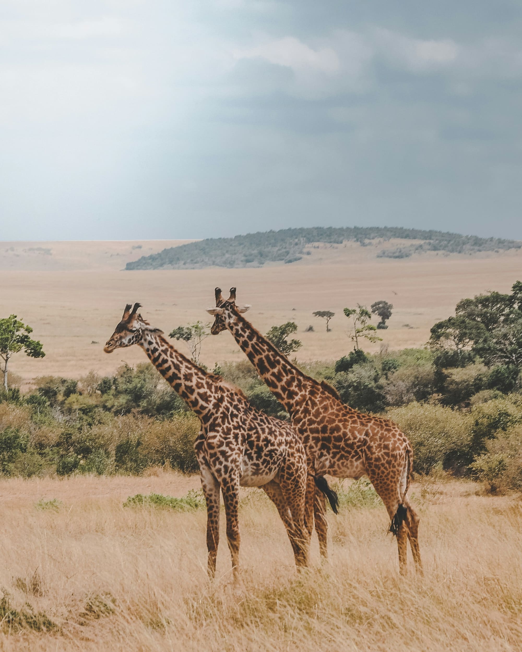 Afrique du Sud – Aventure sur la Route des Jardins, photo 4