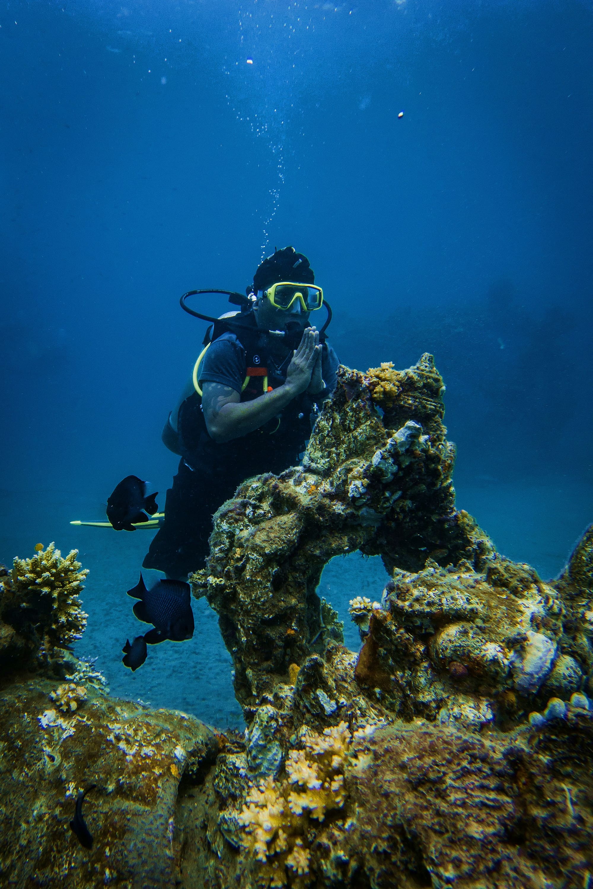 Croatie – Plongée sur l’île de Murter, photo 2