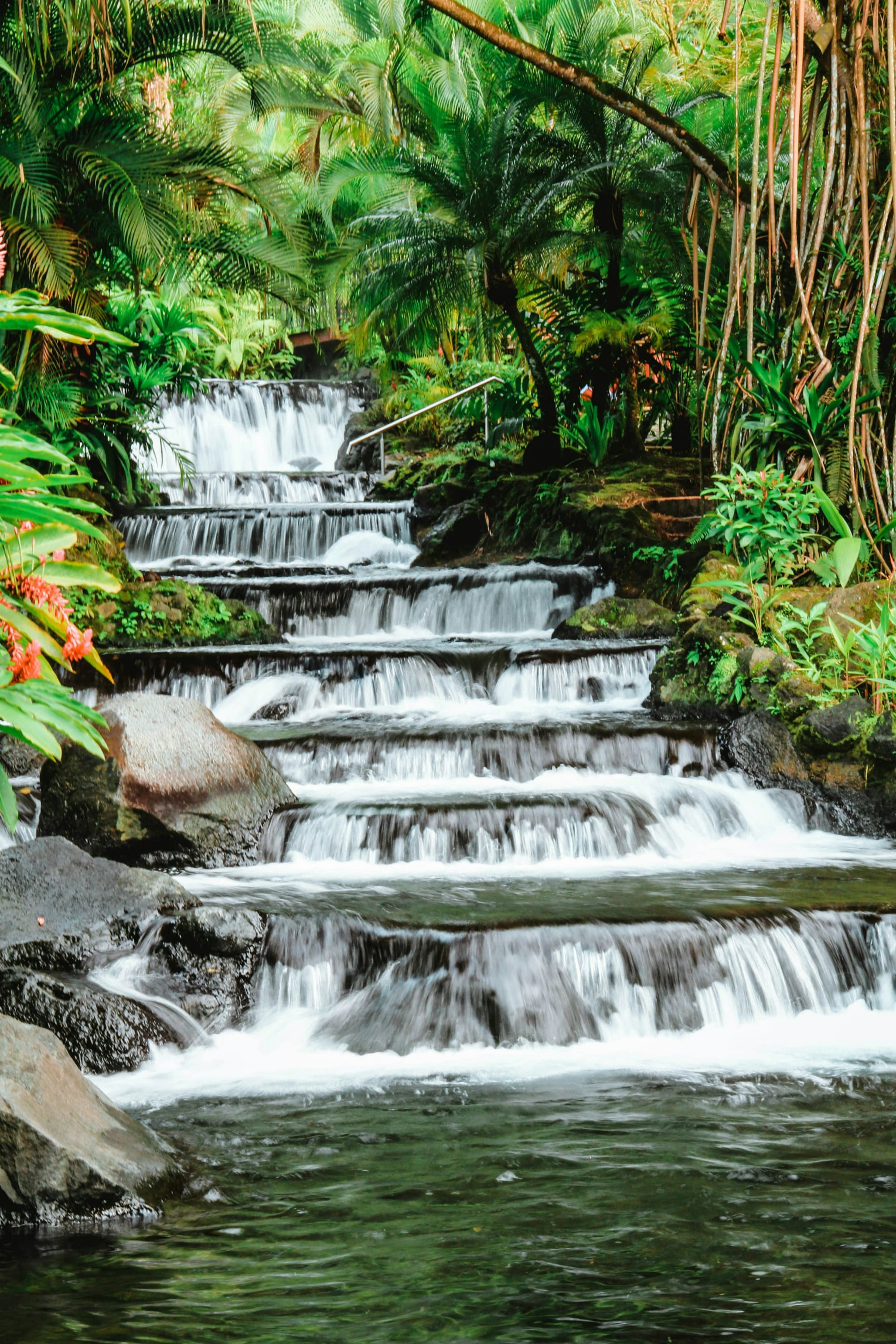 Costa Rica – Stage de survie en forêt tropicale, photo 6