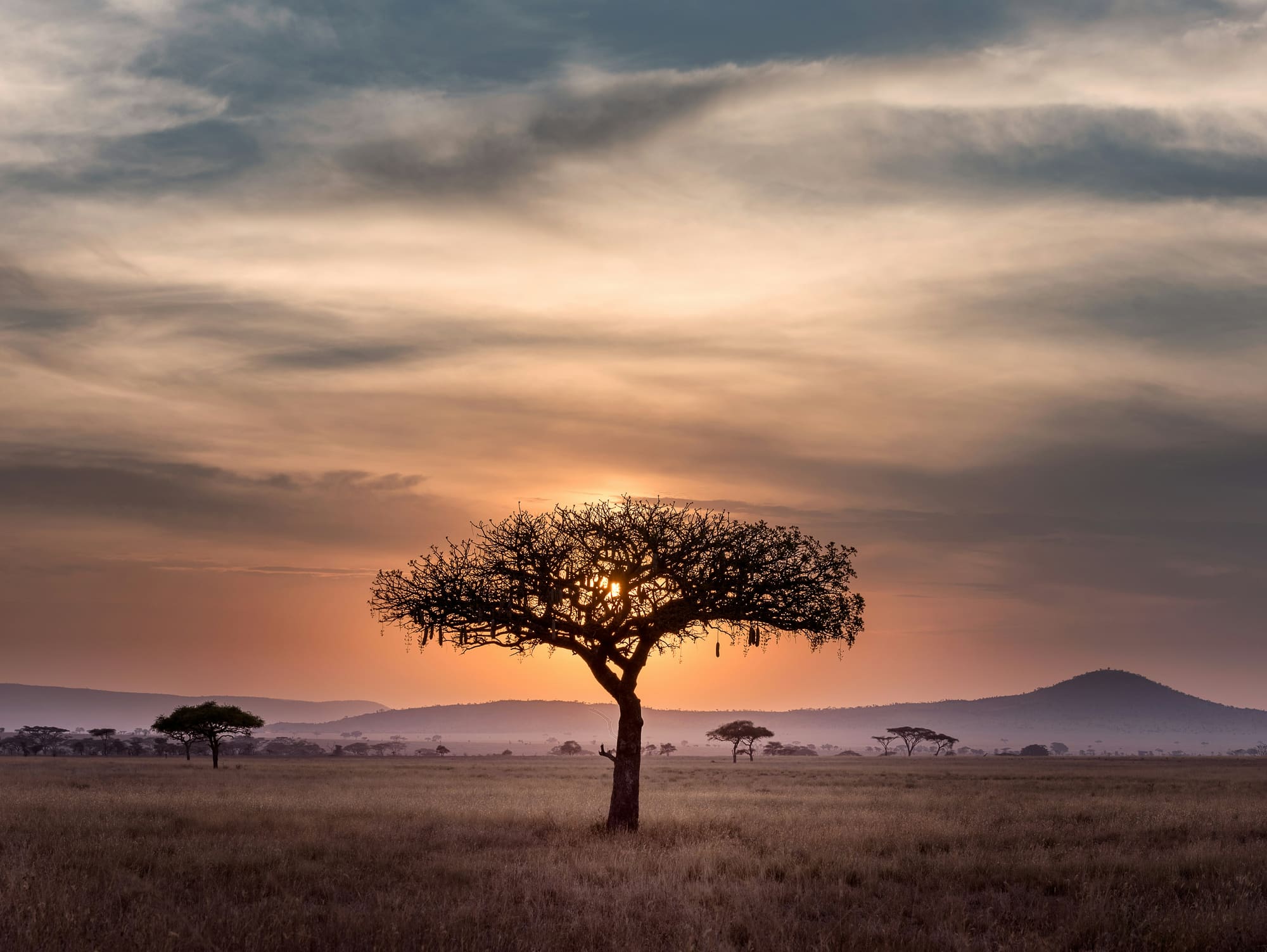 Tanzanie – Safaris & Lac Victoria, photo 2