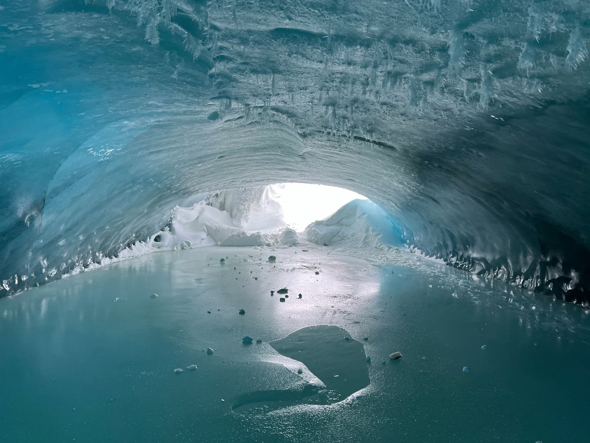 Norvège – Au pays des ours, photo 4