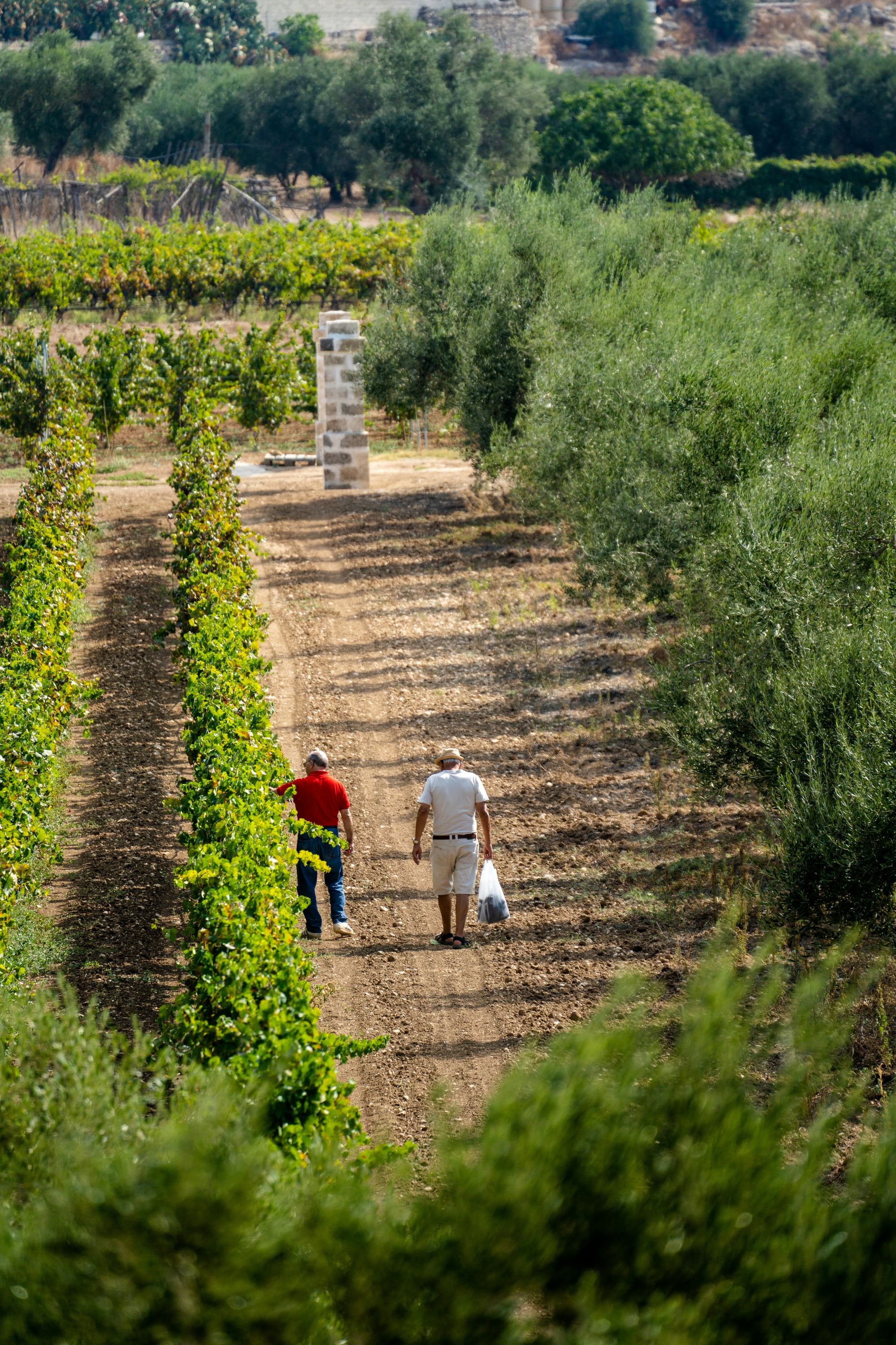 Italie – Les Pouilles à Vélo, photo 2