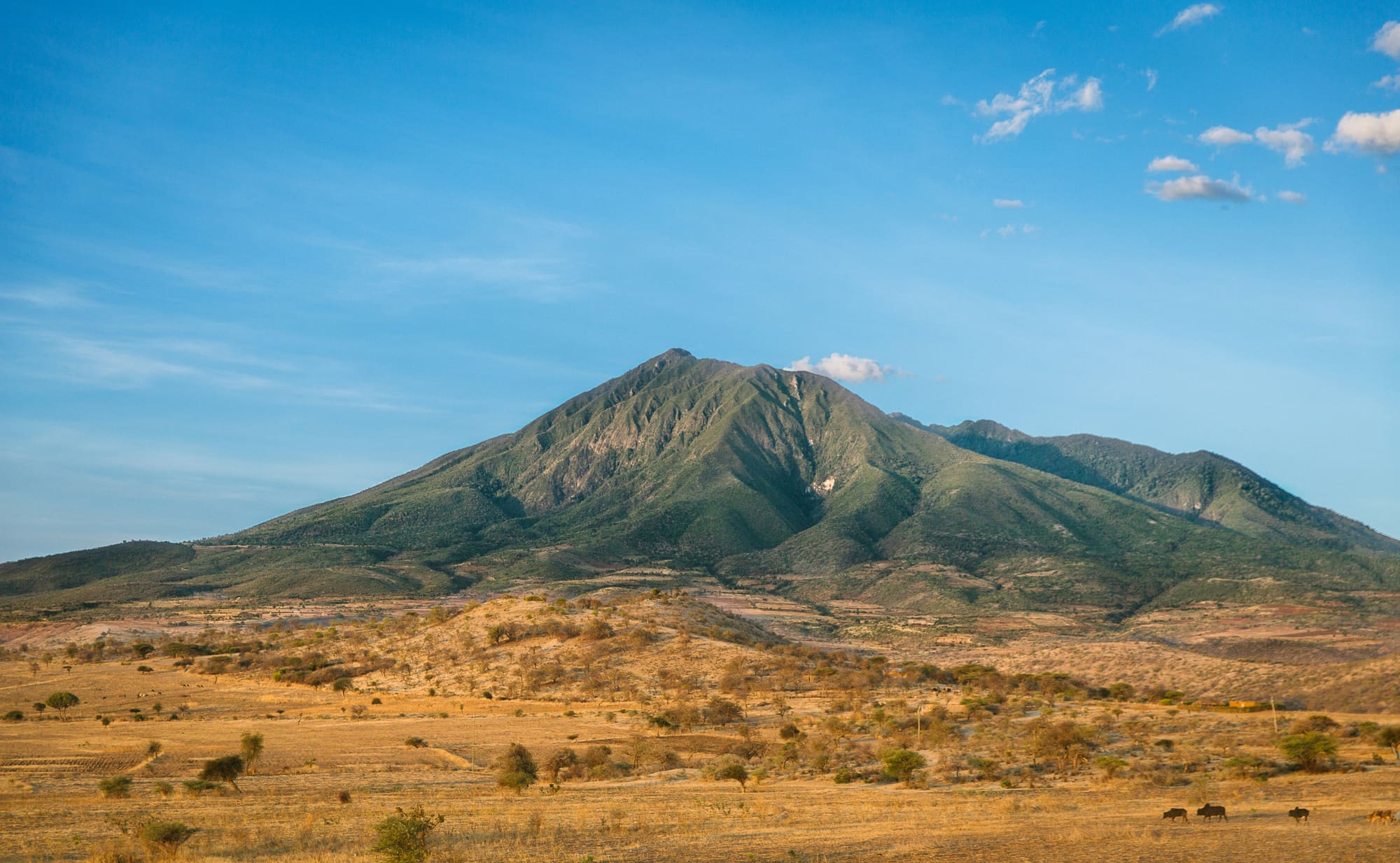 Tanzanie – Fun Tour, photo 3