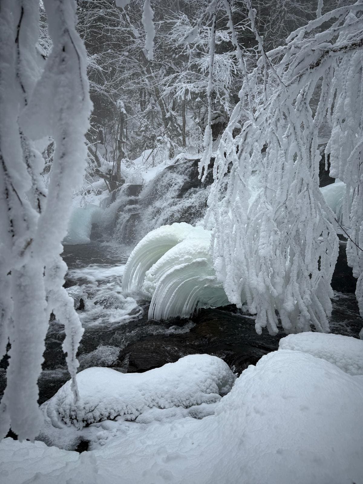 Canada – Aventure hivernale au Québec, photo 2