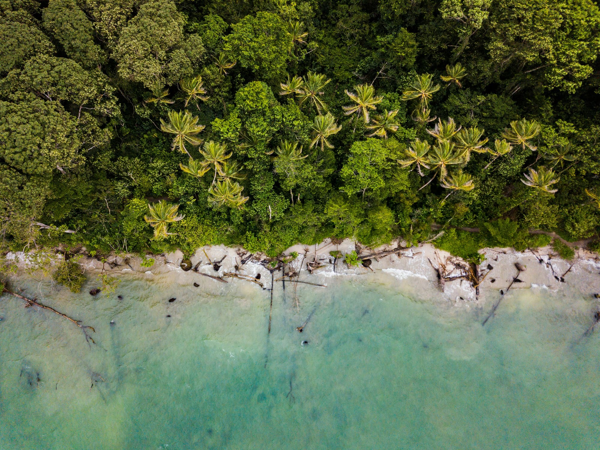 Costa Rica – Aventure Pura Vida, photo 3