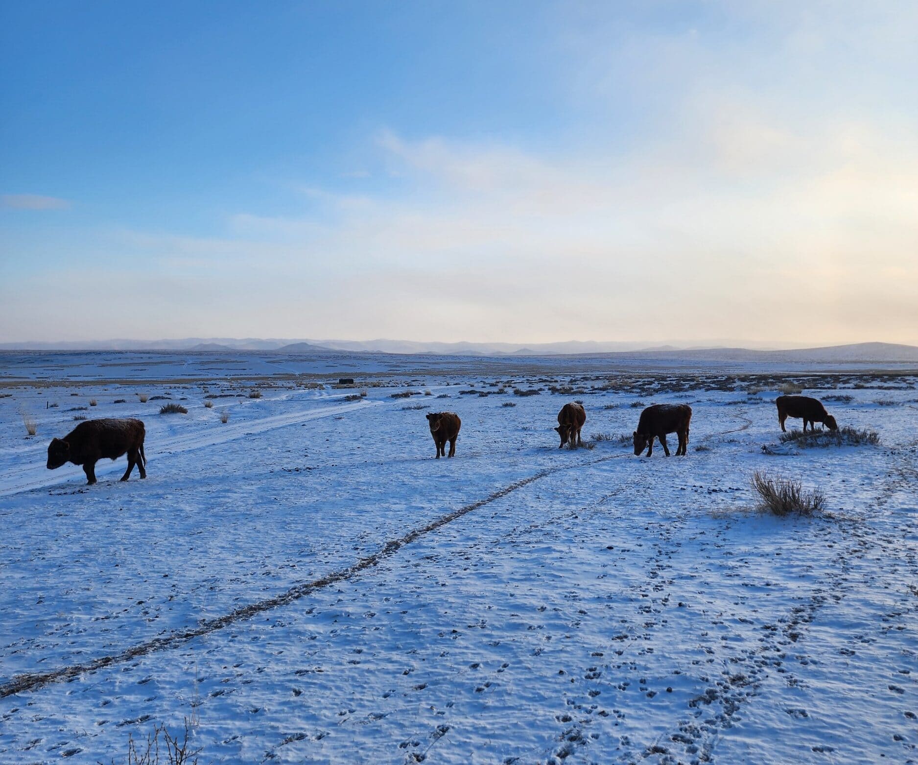 La Voie des Glaces, photo 4