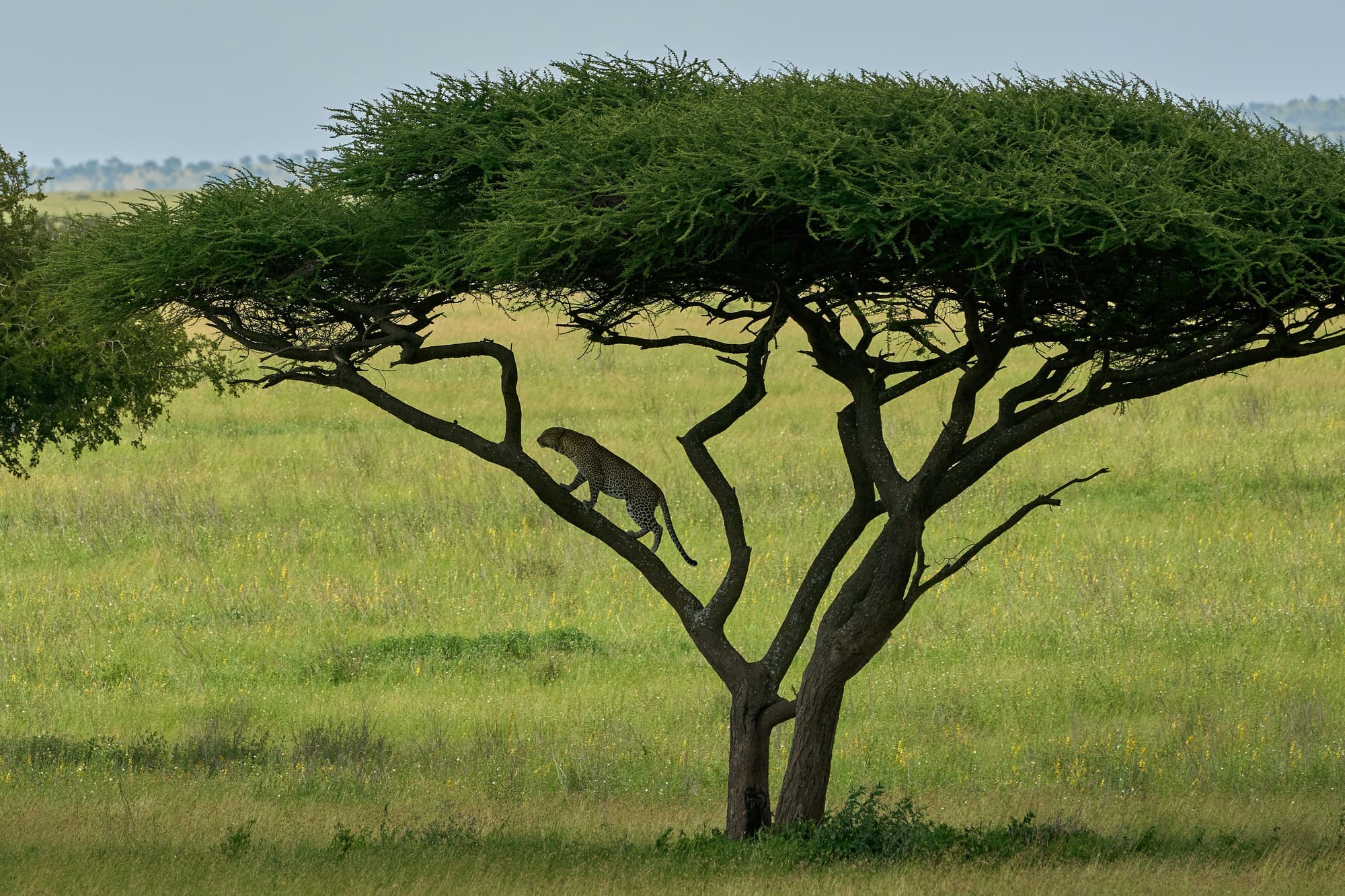Tanzanie – Fun Tour, photo 4