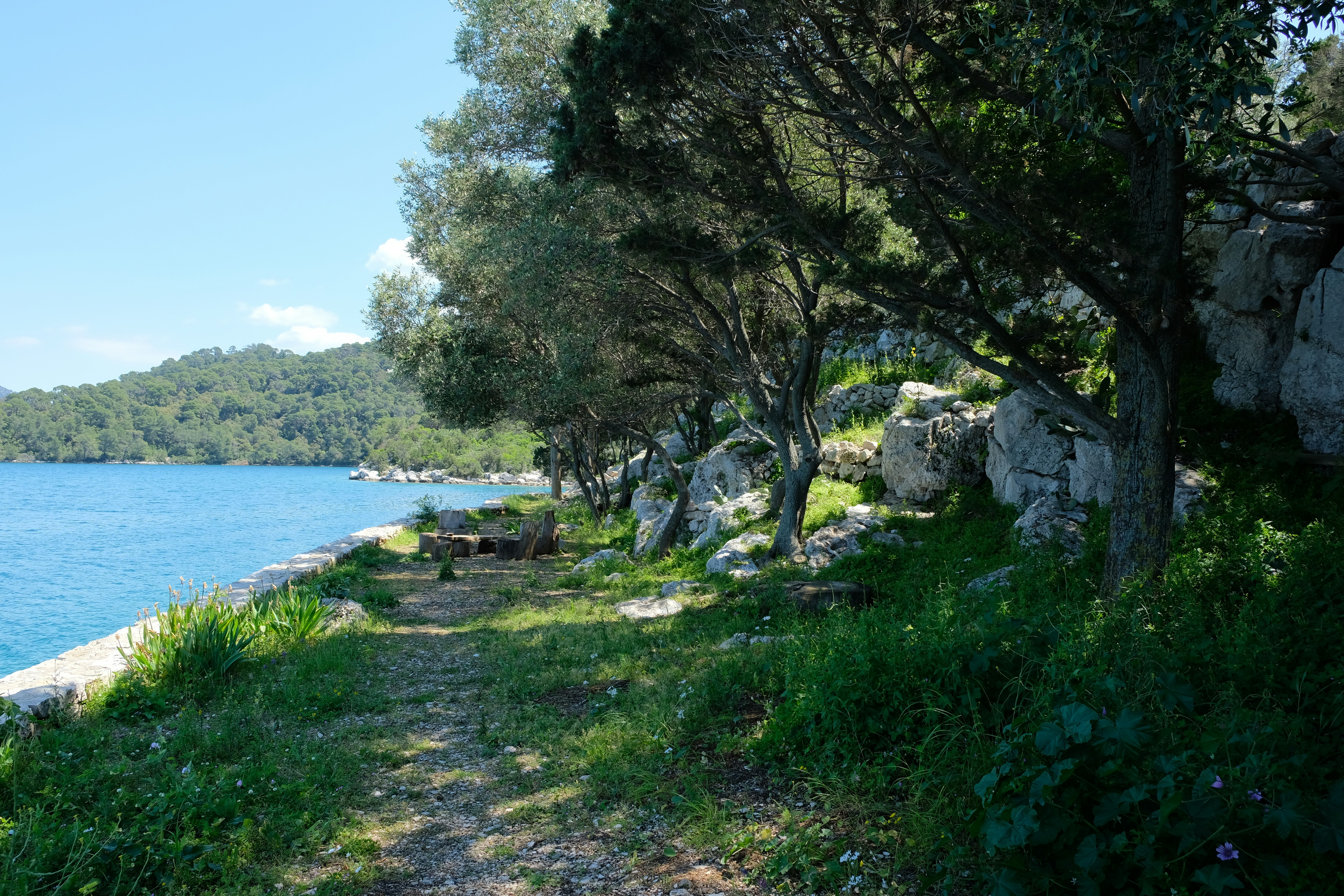Croatie – Trek sur l’île de Mljet