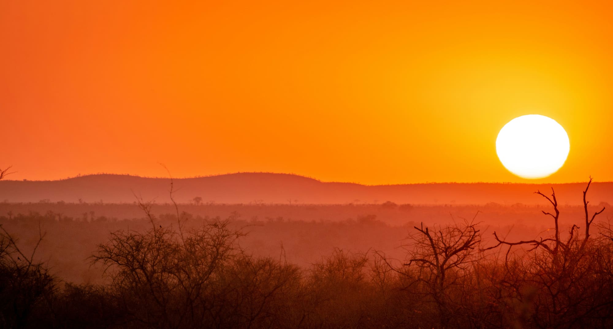 Afrique du Sud – 100% Nature, photo 4