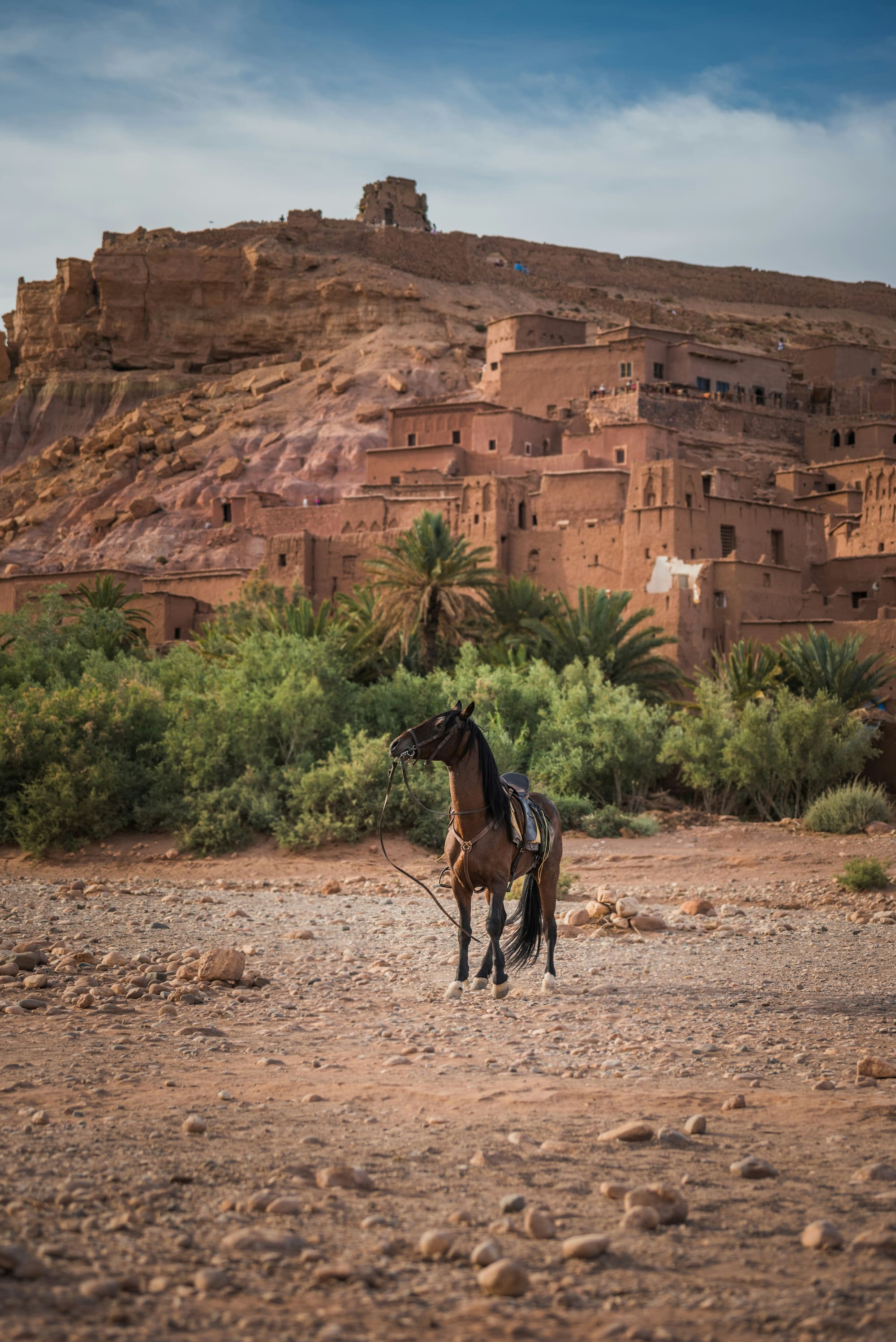Maroc – À Cheval, photo 3