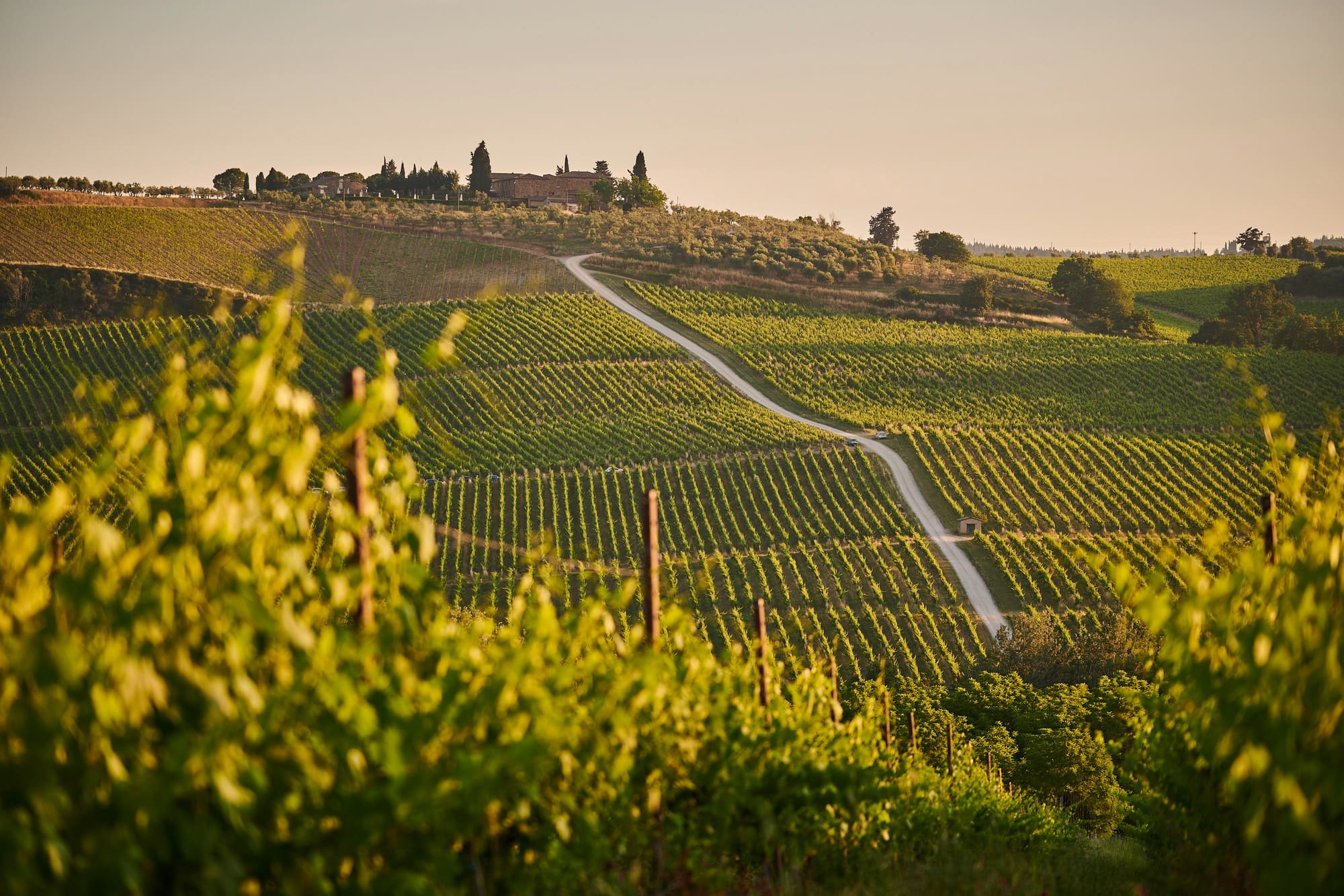 Italie – Au Cœur de la Toscane, photo 6