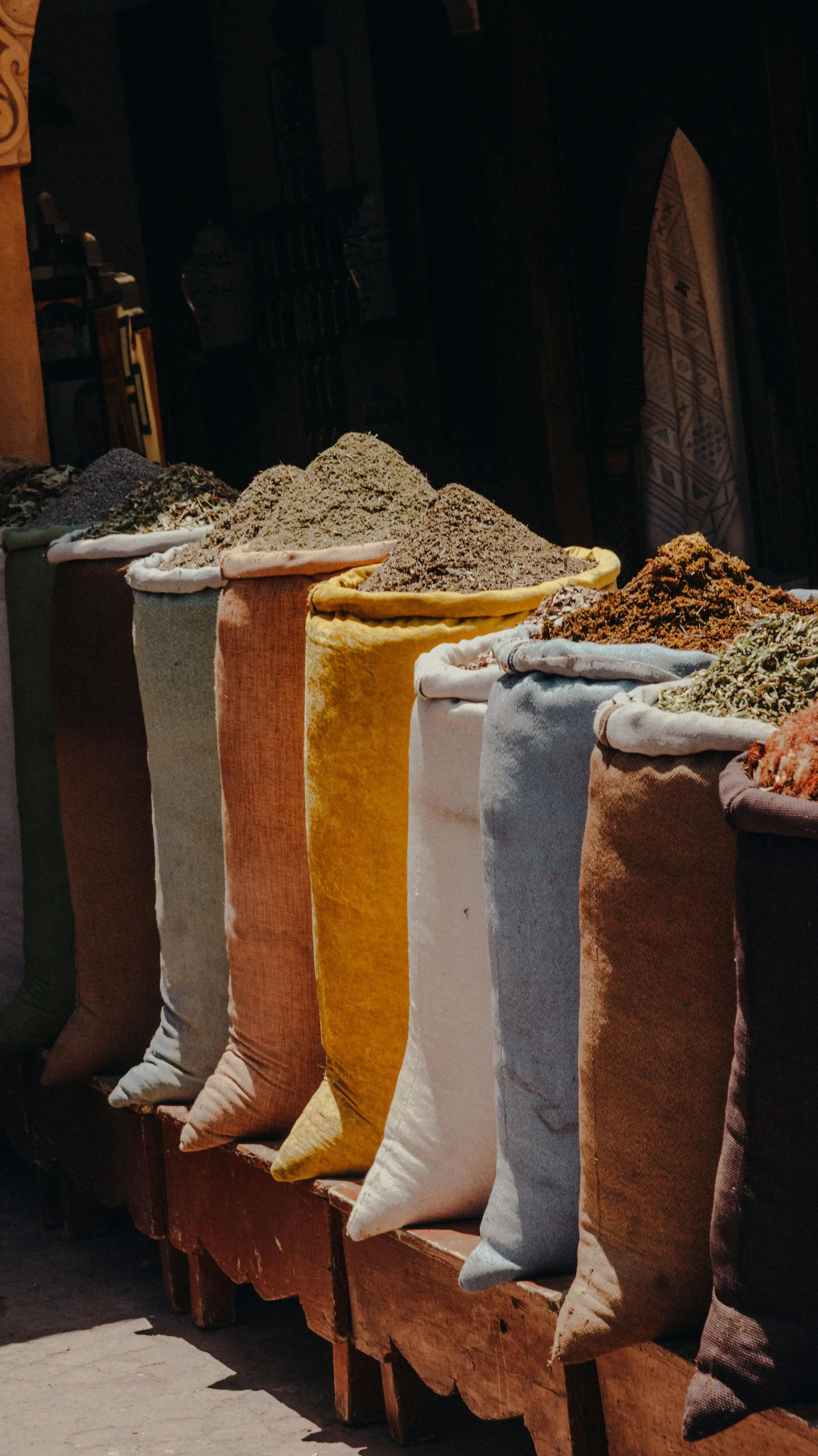 Maroc "Entre l'Atlas et l'Océan", photo 2