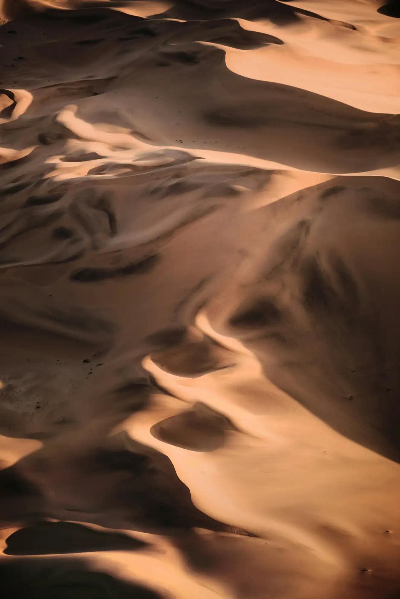 Maroc "Entre l'Atlas et l'Océan", photo 3