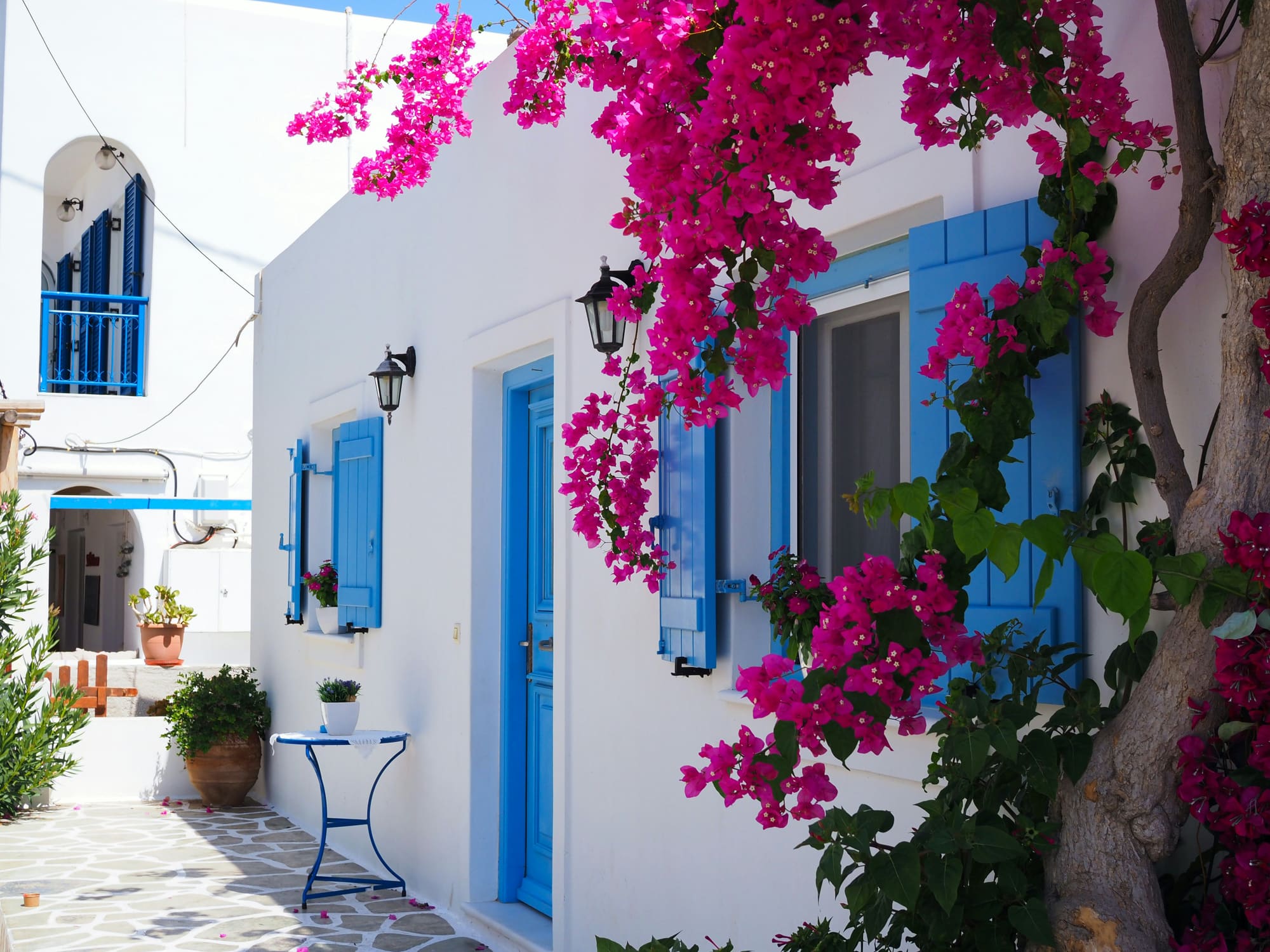 Grèce – Olympiades dans les Cyclades, photo 3