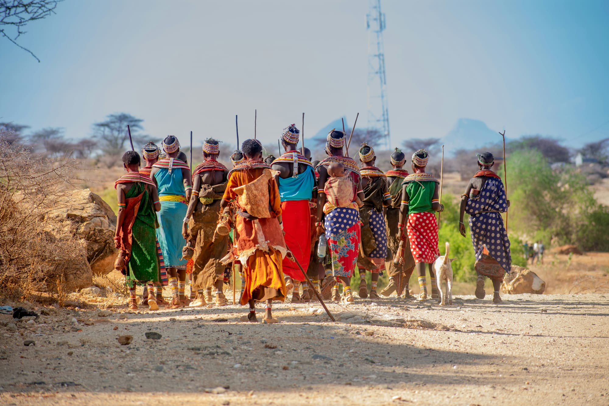 Kenya – Rêve d’Enfant, photo 7