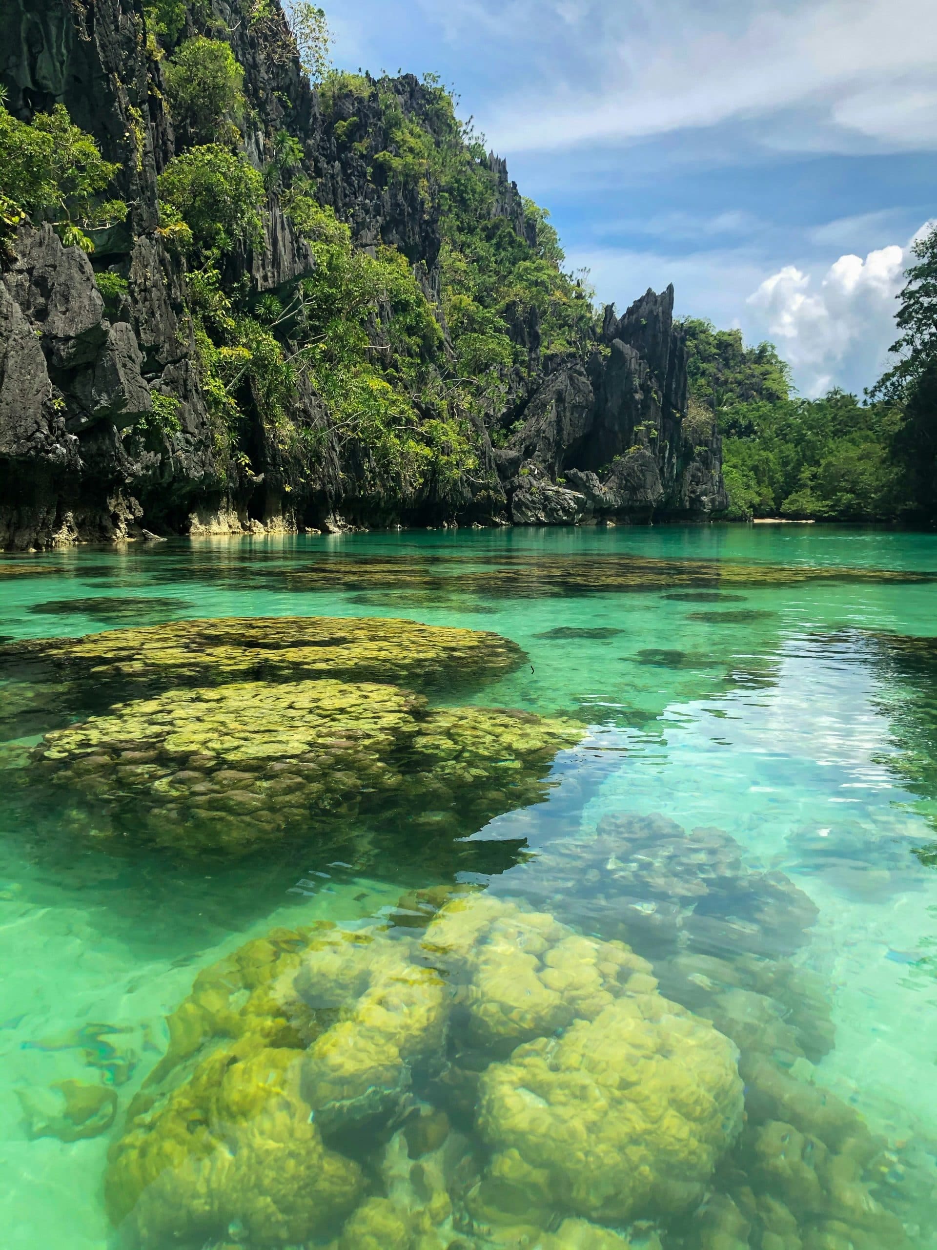 Voyage initiatique aux Philippines – Guérisseurs, Nature & Pleine Lune, photo 3