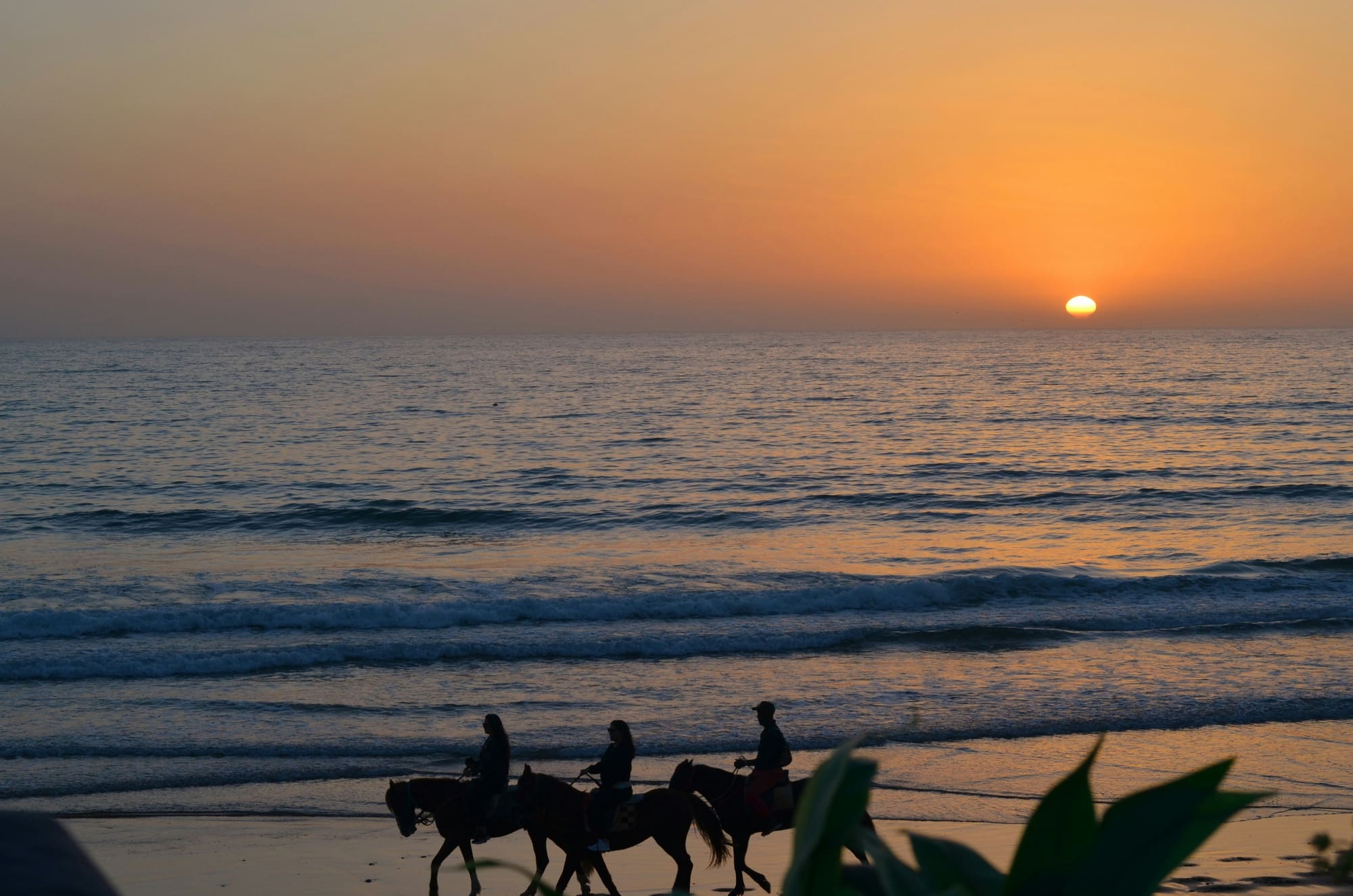 Maroc – À Cheval, photo 5
