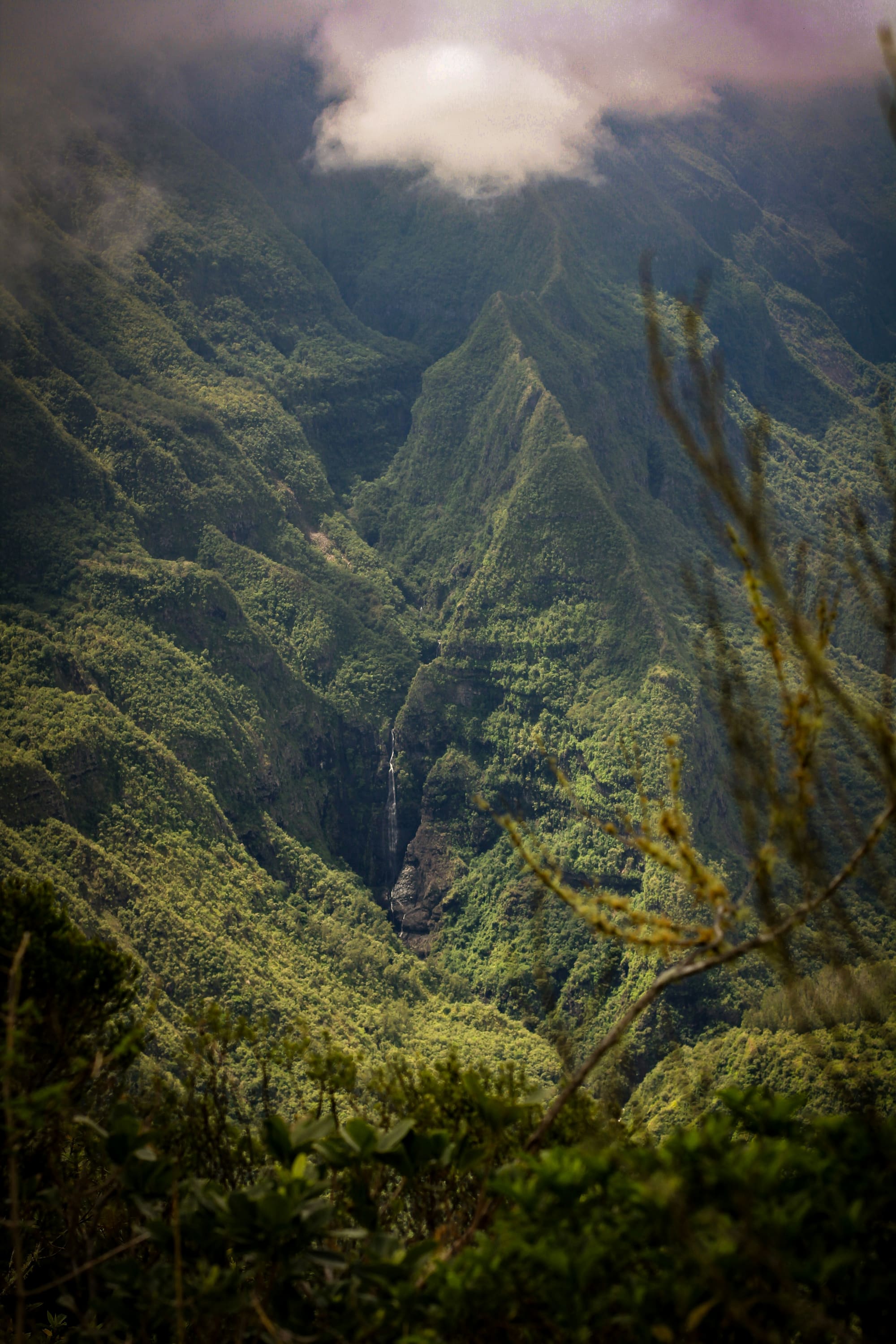 Île de la Réunion – L’Île Intense, photo 3