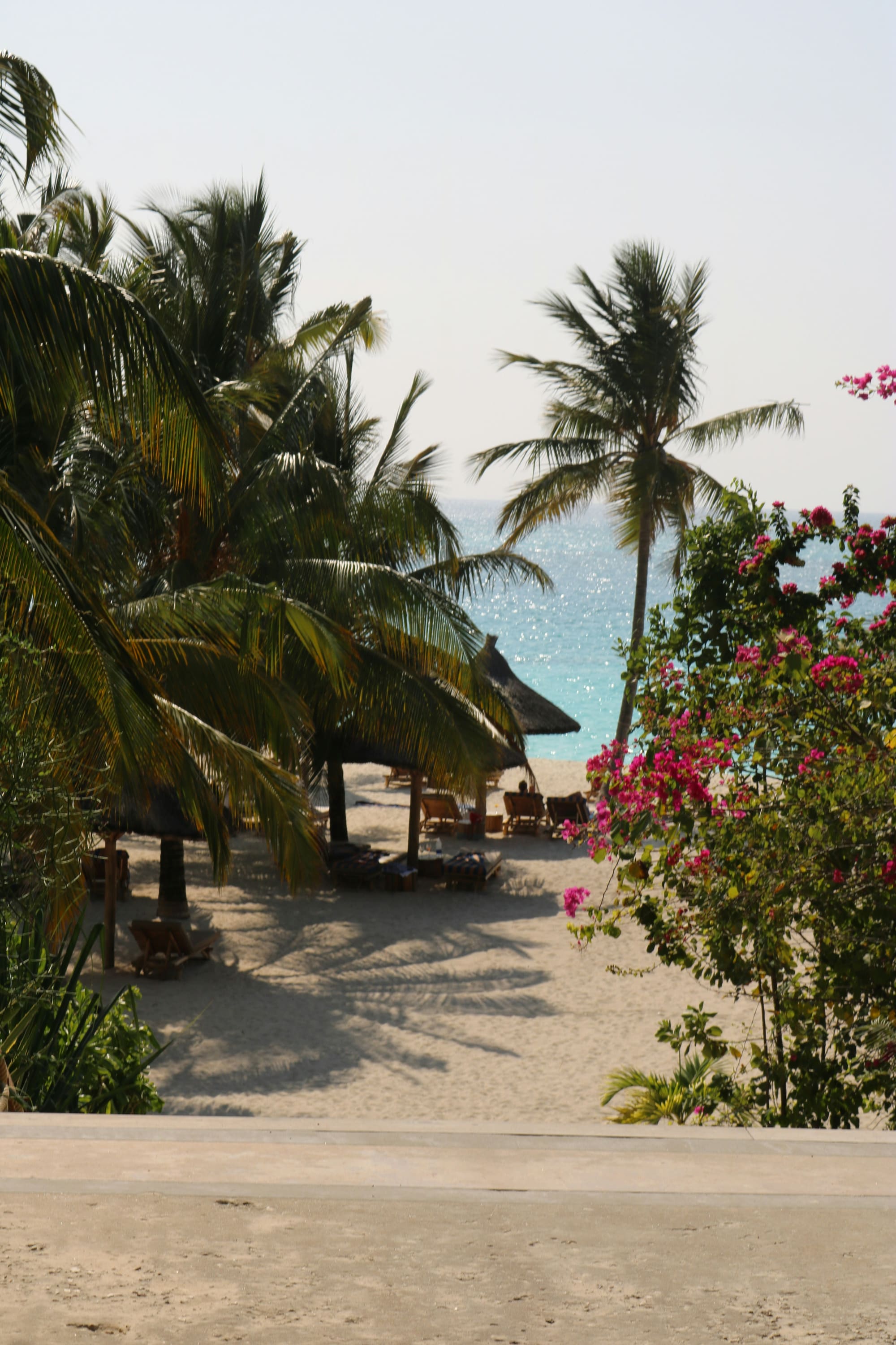 Zanzibar – Aventure sur l’Île aux Épices, photo 4
