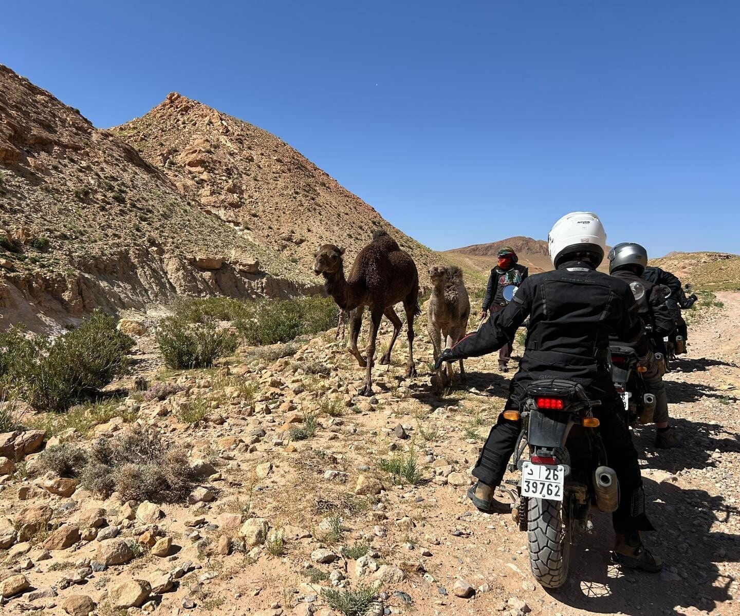 Le sud marocain : de l'Atlas aux dunes du Sahara, photo 2