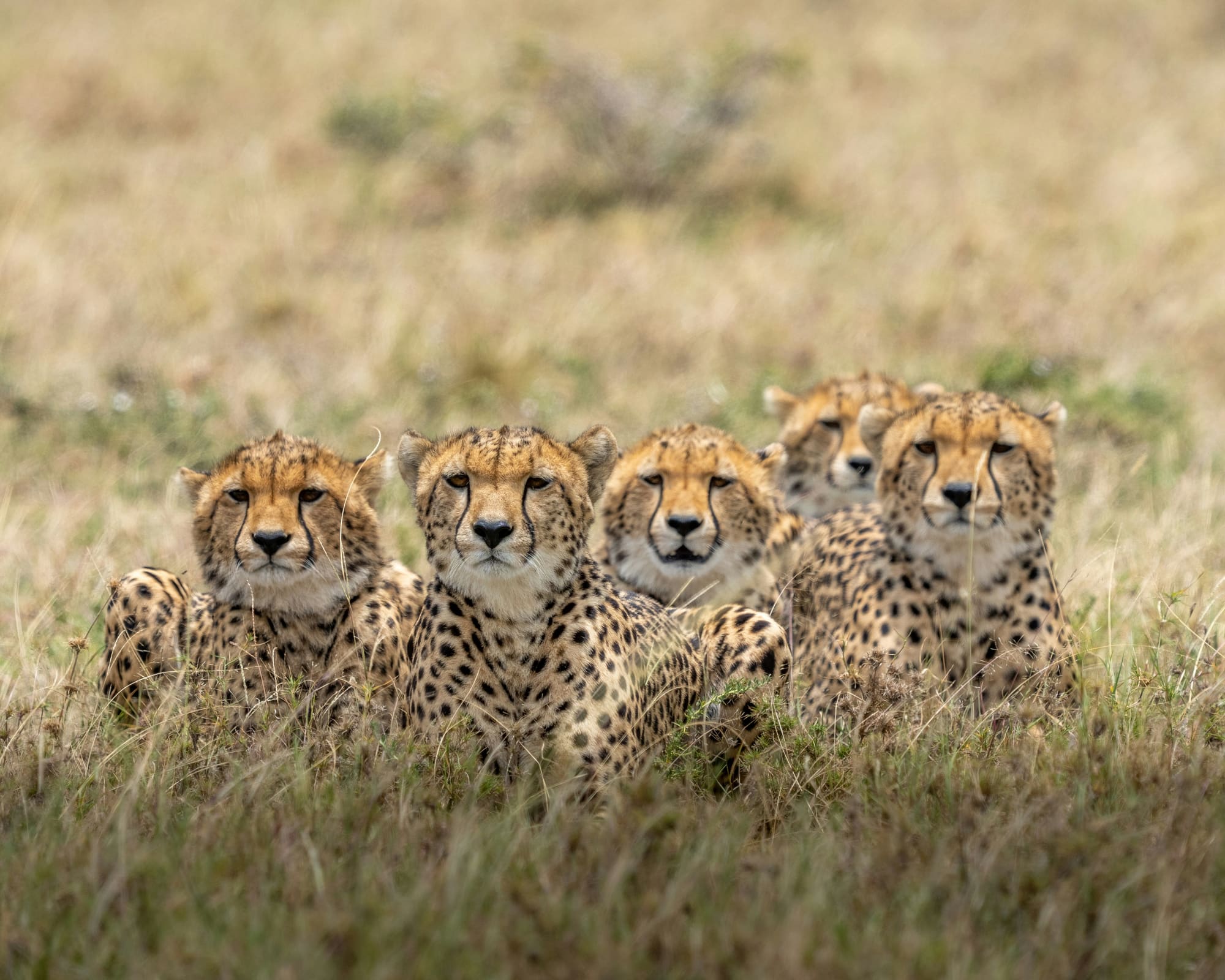 Kenya – Eco Tour, photo 3