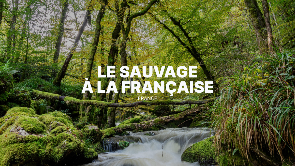 Le Morvan : le petit Canada français