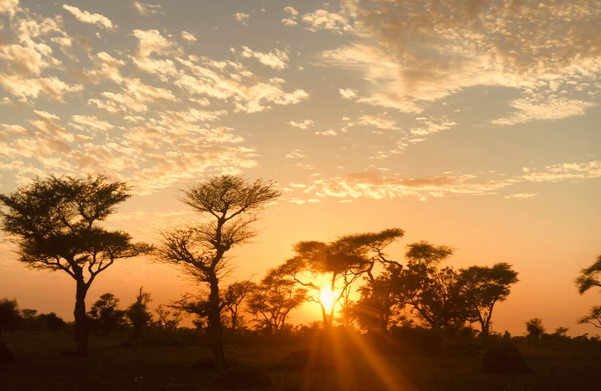 Sénégal – Eco Solidaire, photo 5