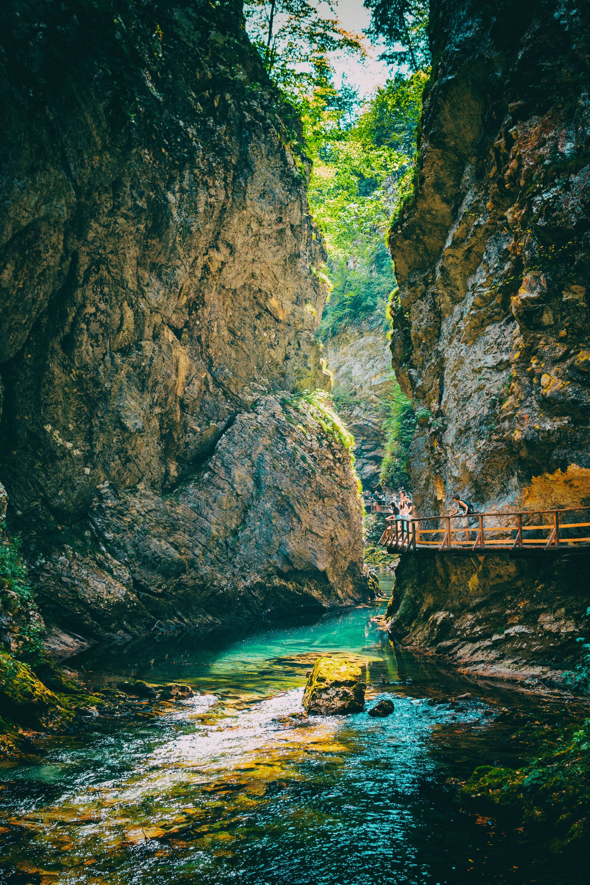 Slovénie – Des Alpes à l’Adriatique à vélo, photo 5