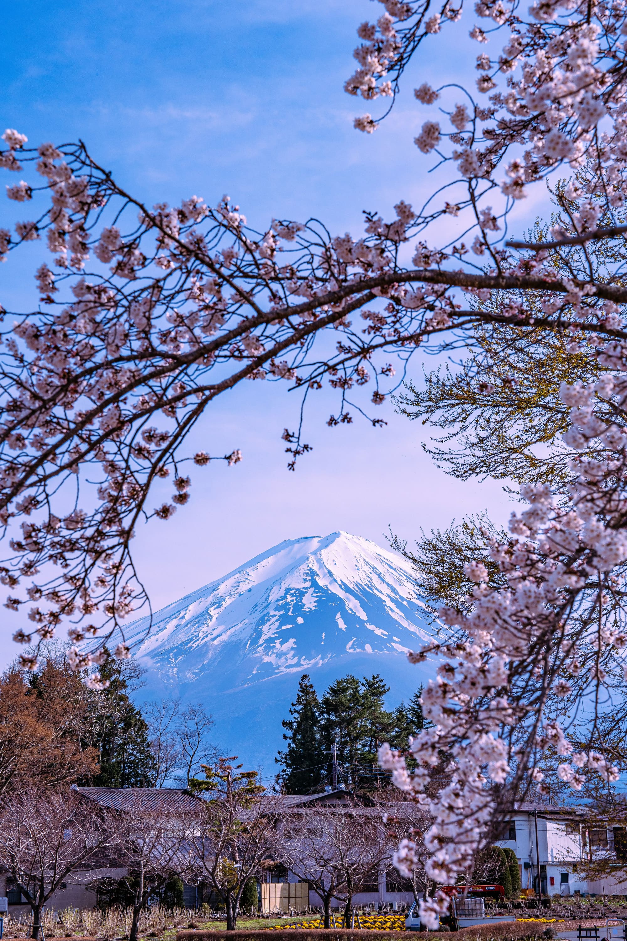 Japon – Stage Karaté, photo 5