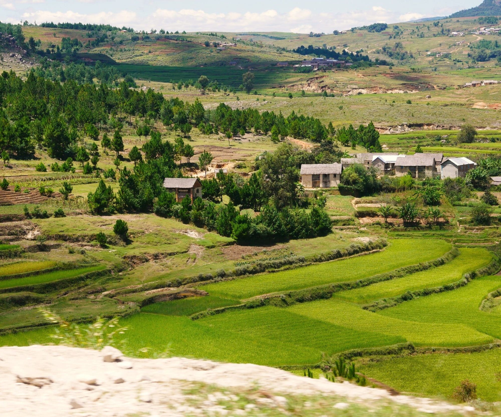 Les Terres Rouges de Madagascar, photo 6