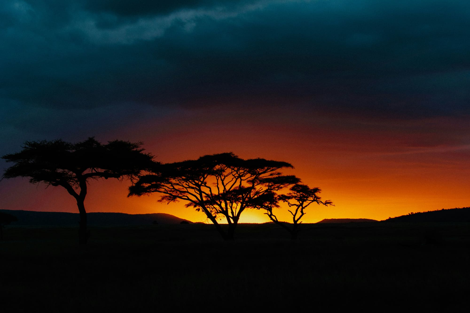 Tanzanie – Afrika Trek, photo 5