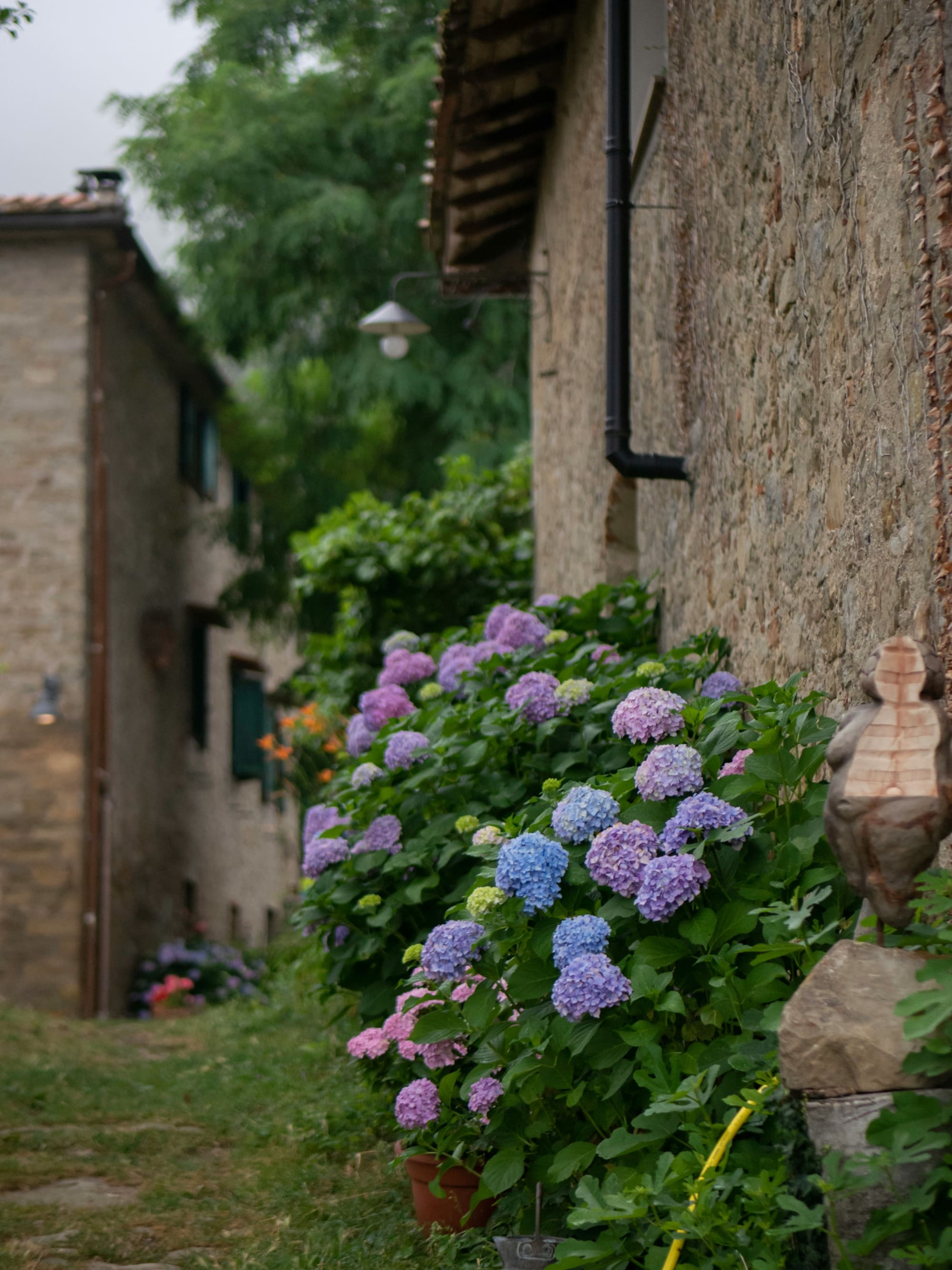 Italie – Agritourisme en Toscane, photo 3