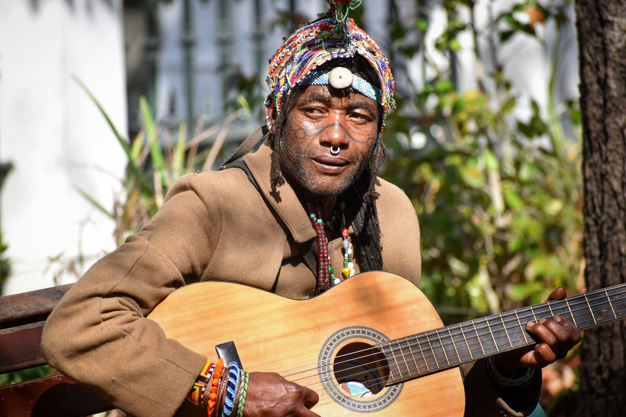 Afrique du Sud – 100% Nature, photo 6