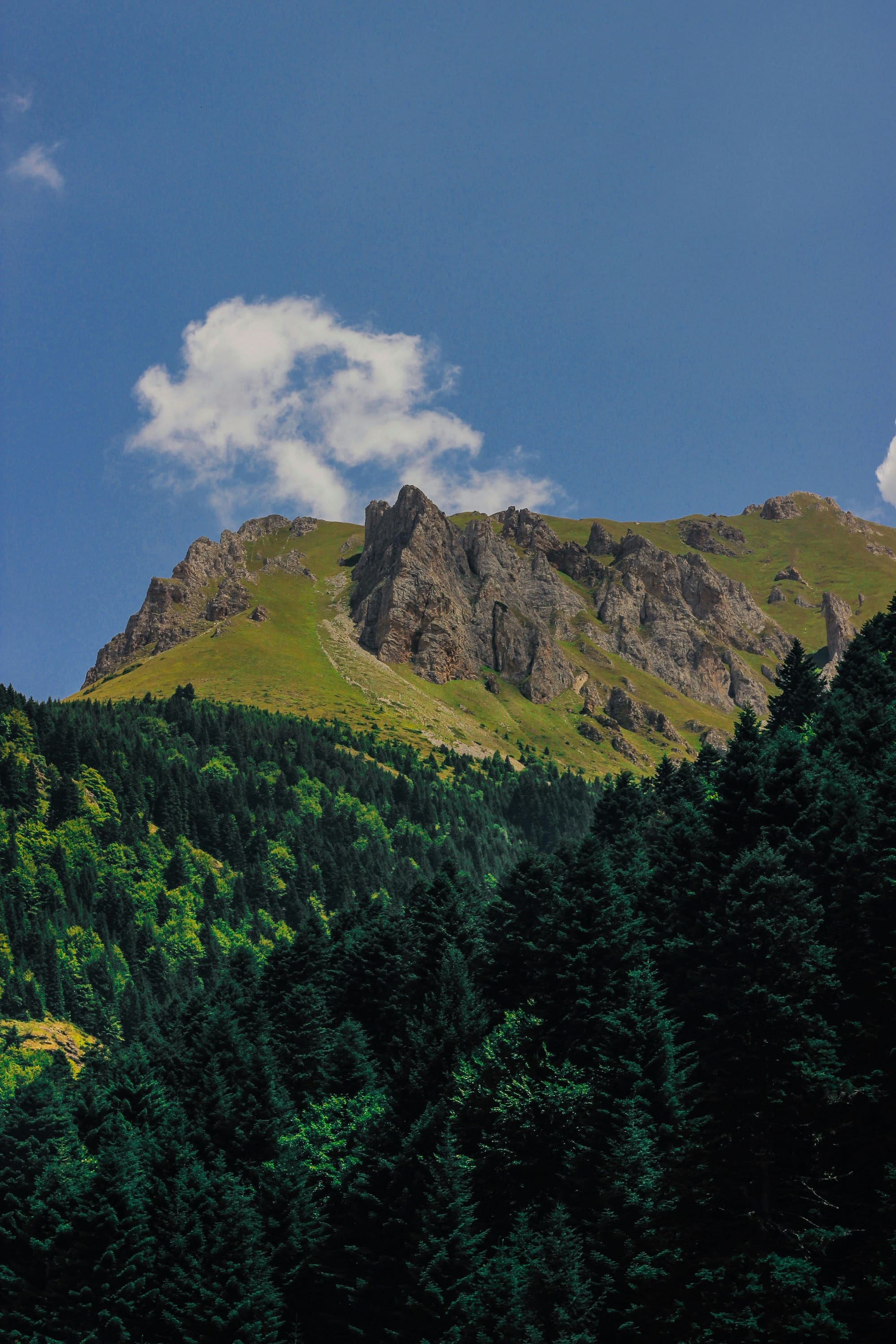 Macédoine du Nord – Nature & Traditions, photo 6