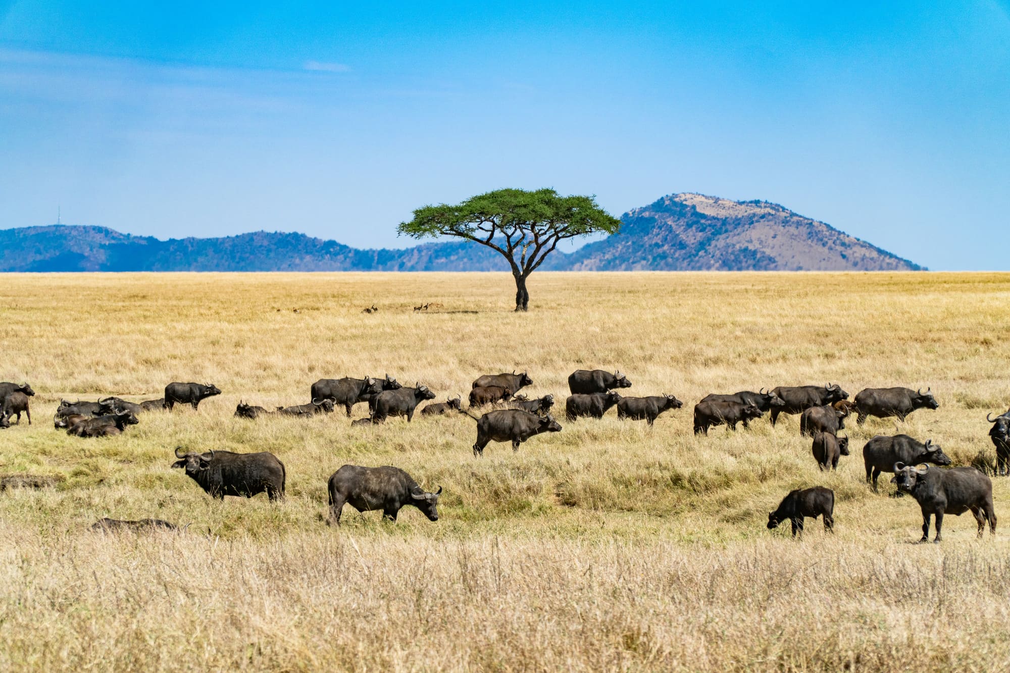 Tanzanie – Fun Tour, photo 6