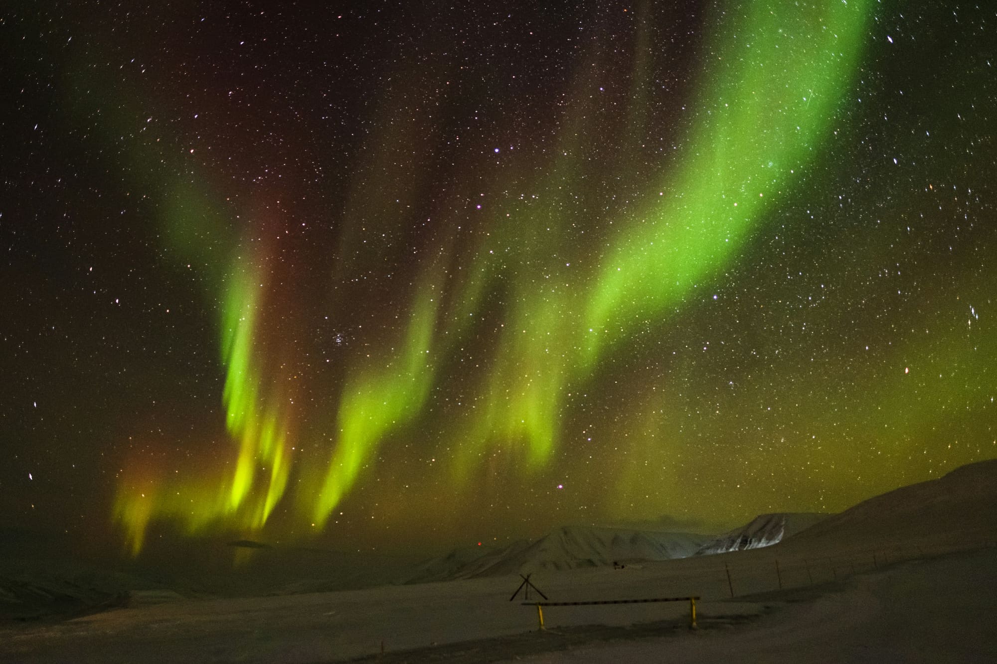 Norvège – Au pays des ours, photo 5