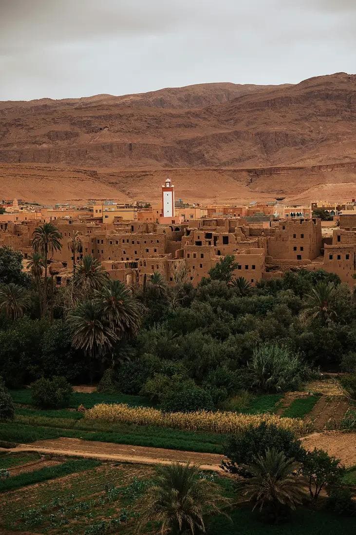 Maroc "Entre l'Atlas et l'Océan", photo 4