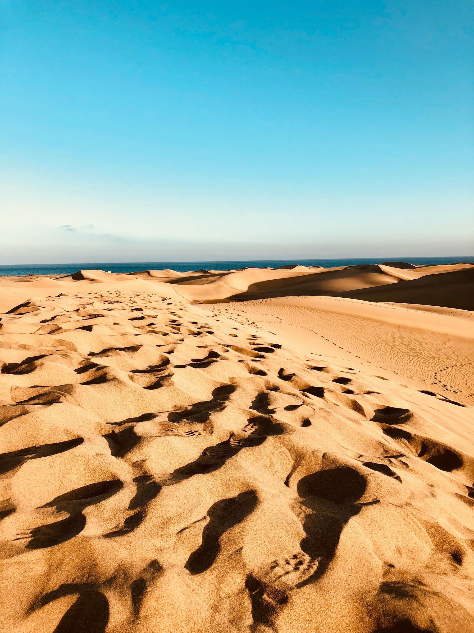 Canaries – Aventure & Fun à Gran Canaria, photo 7