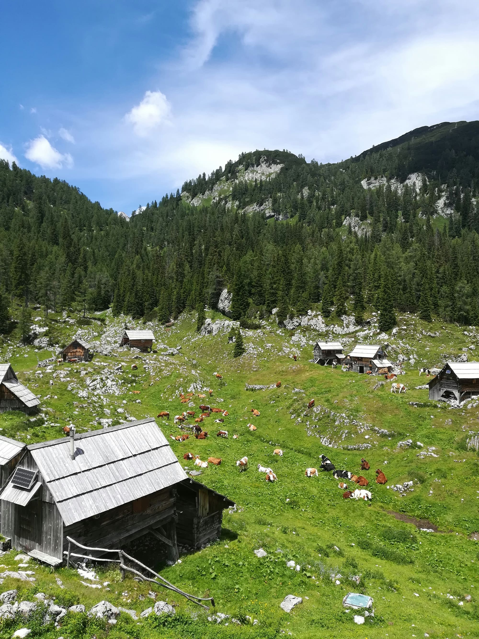 Slovénie – Grands Espaces & Faune Sauvage, photo 6