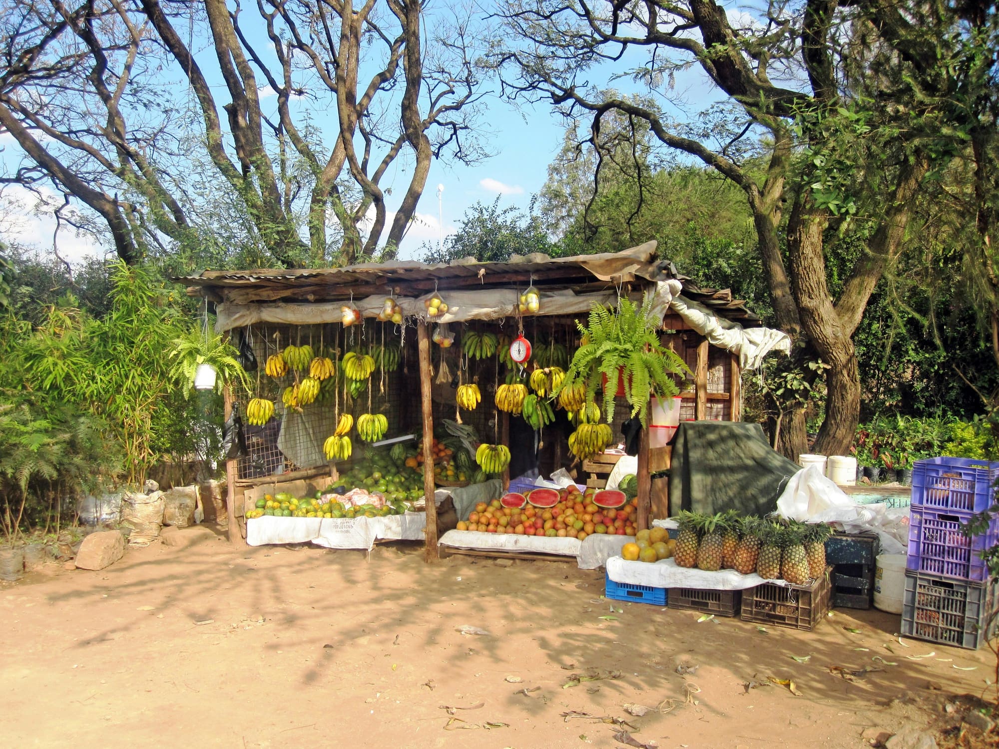 Kenya – Eco Tour, photo 6