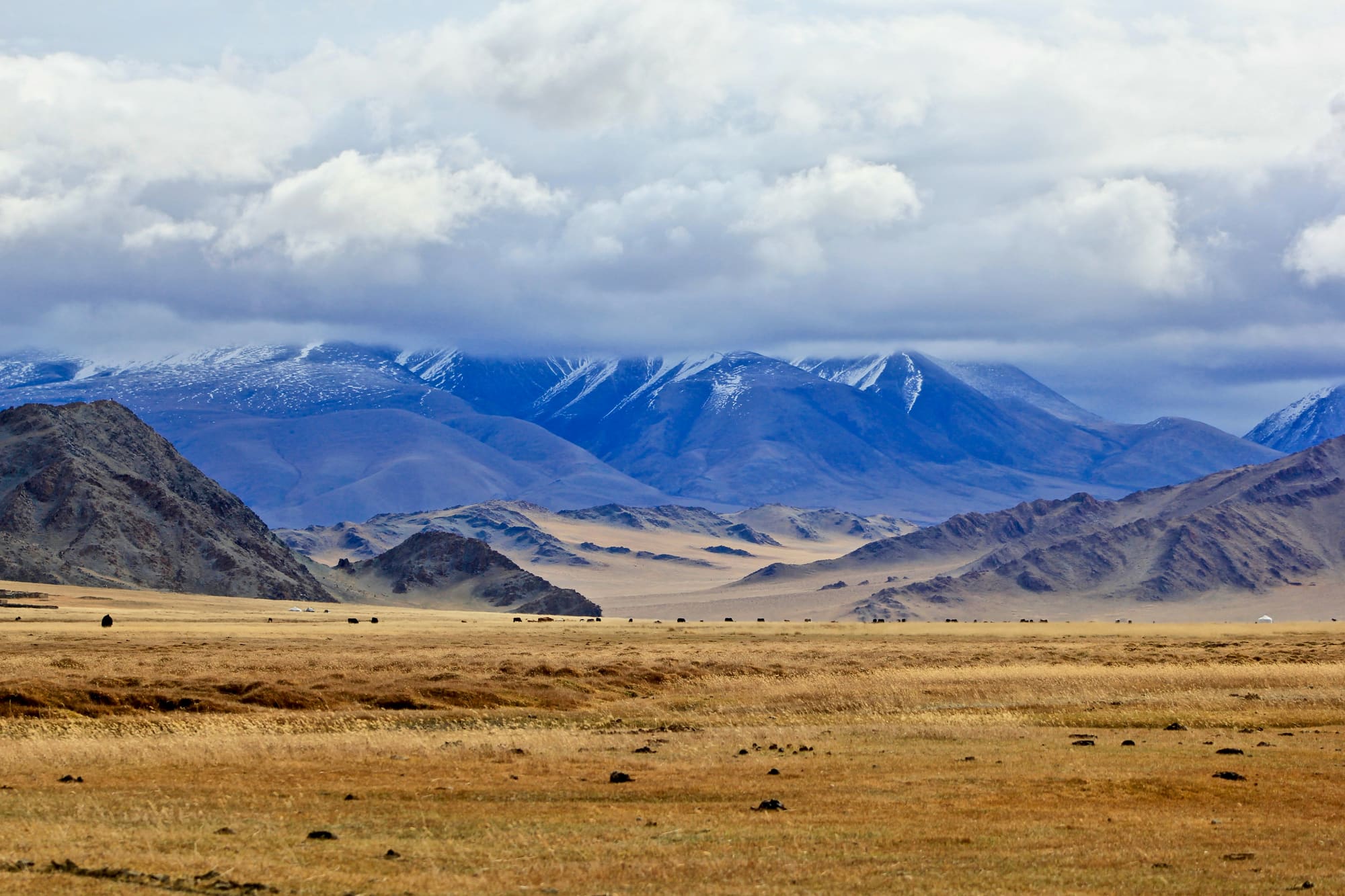 Women Power en Mongolie Centrale – Voyage Féminin Initiatique, photo 3