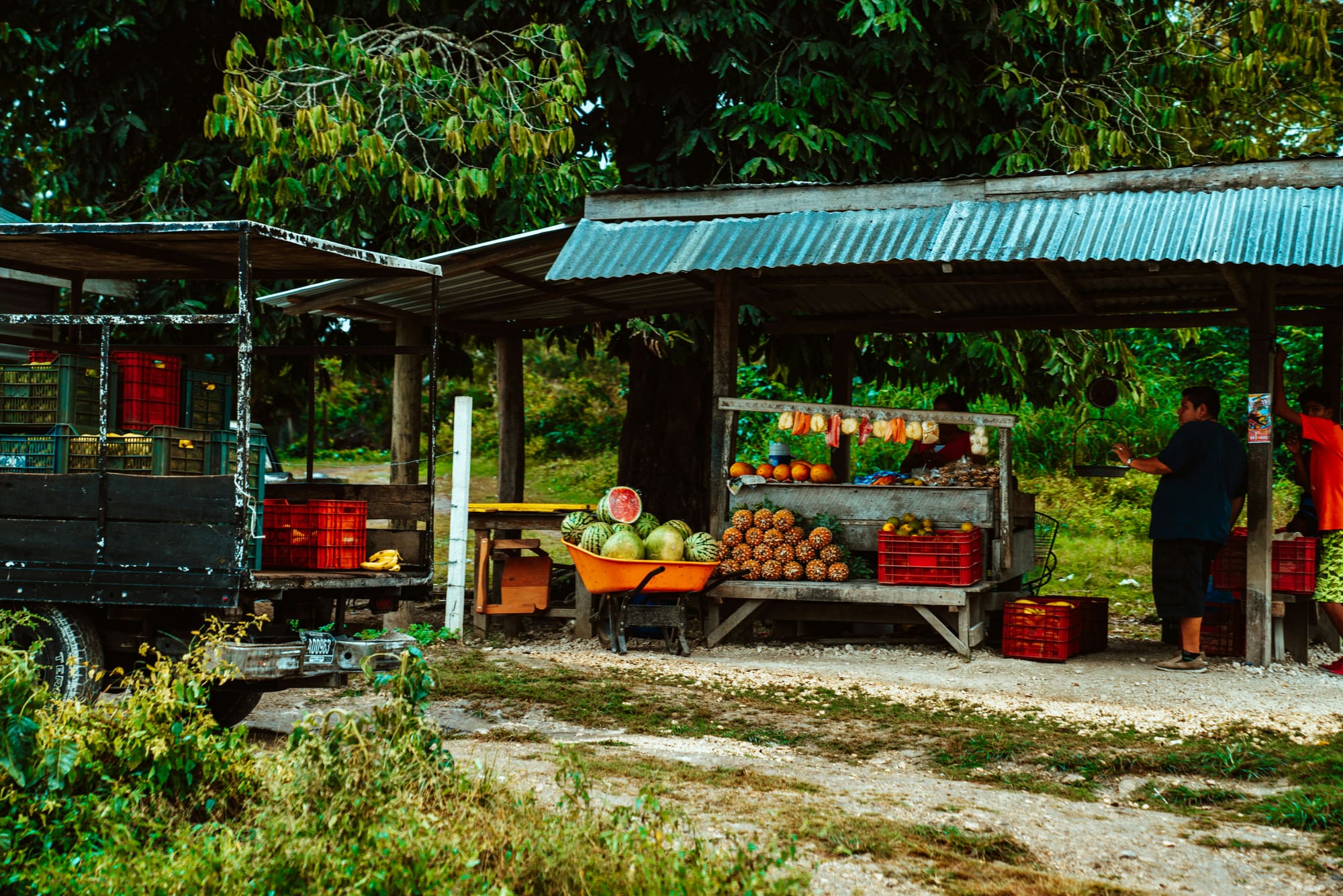 Belize – Le Jaguar : jungle & Caraïbes, photo 5