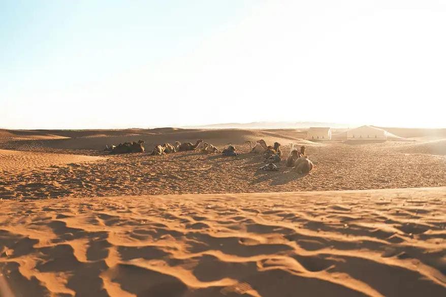 Maroc : Moto Tour - Dunes et oasis, photo 4