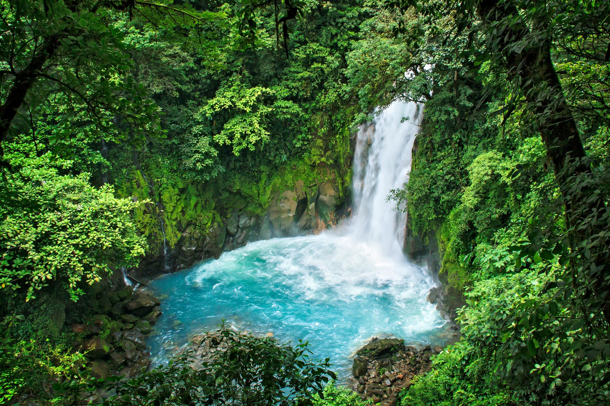 Costa Rica – Rencontres & Découvertes, photo 2