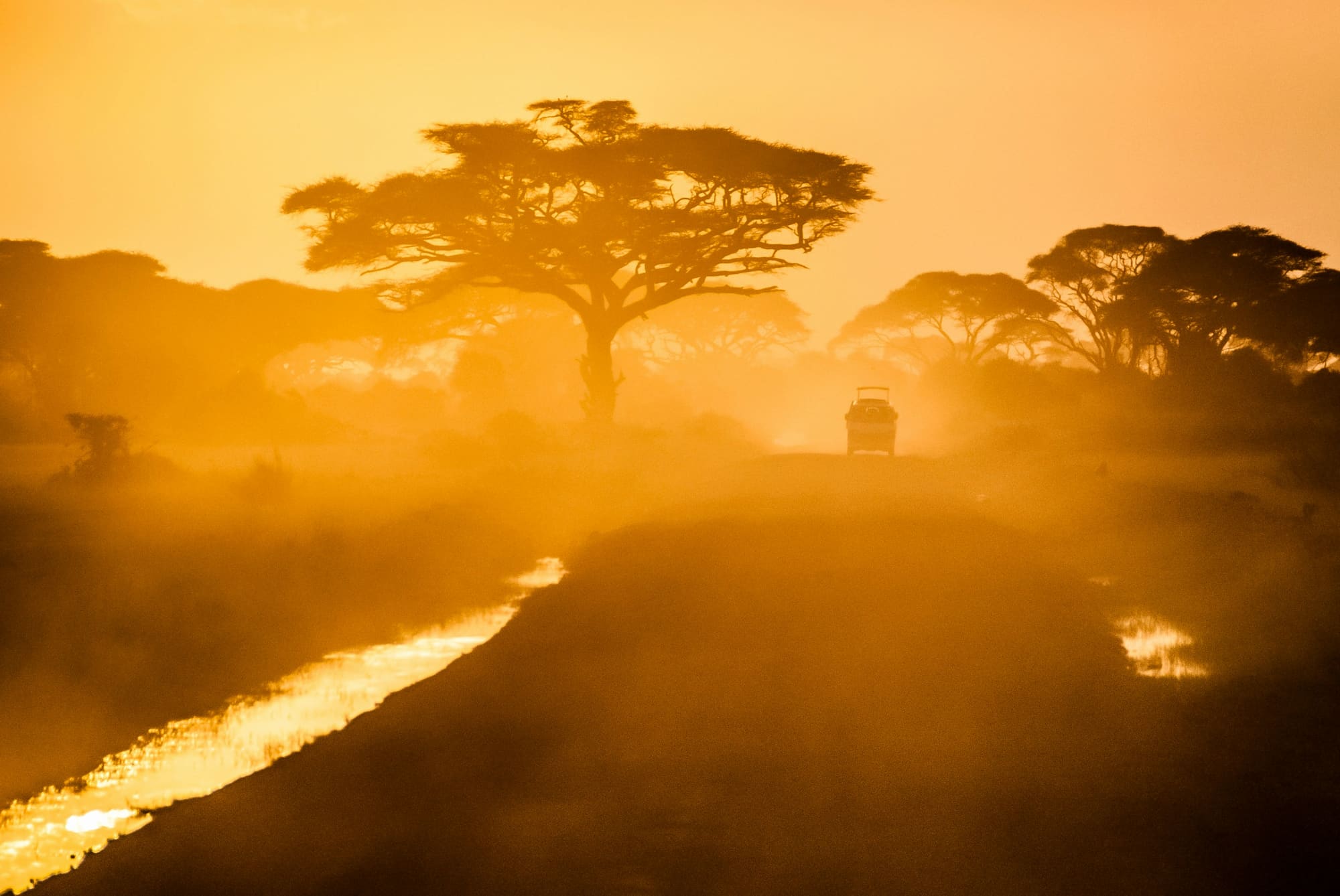 Afrique du Sud – Du Cap au Kruger, photo 7