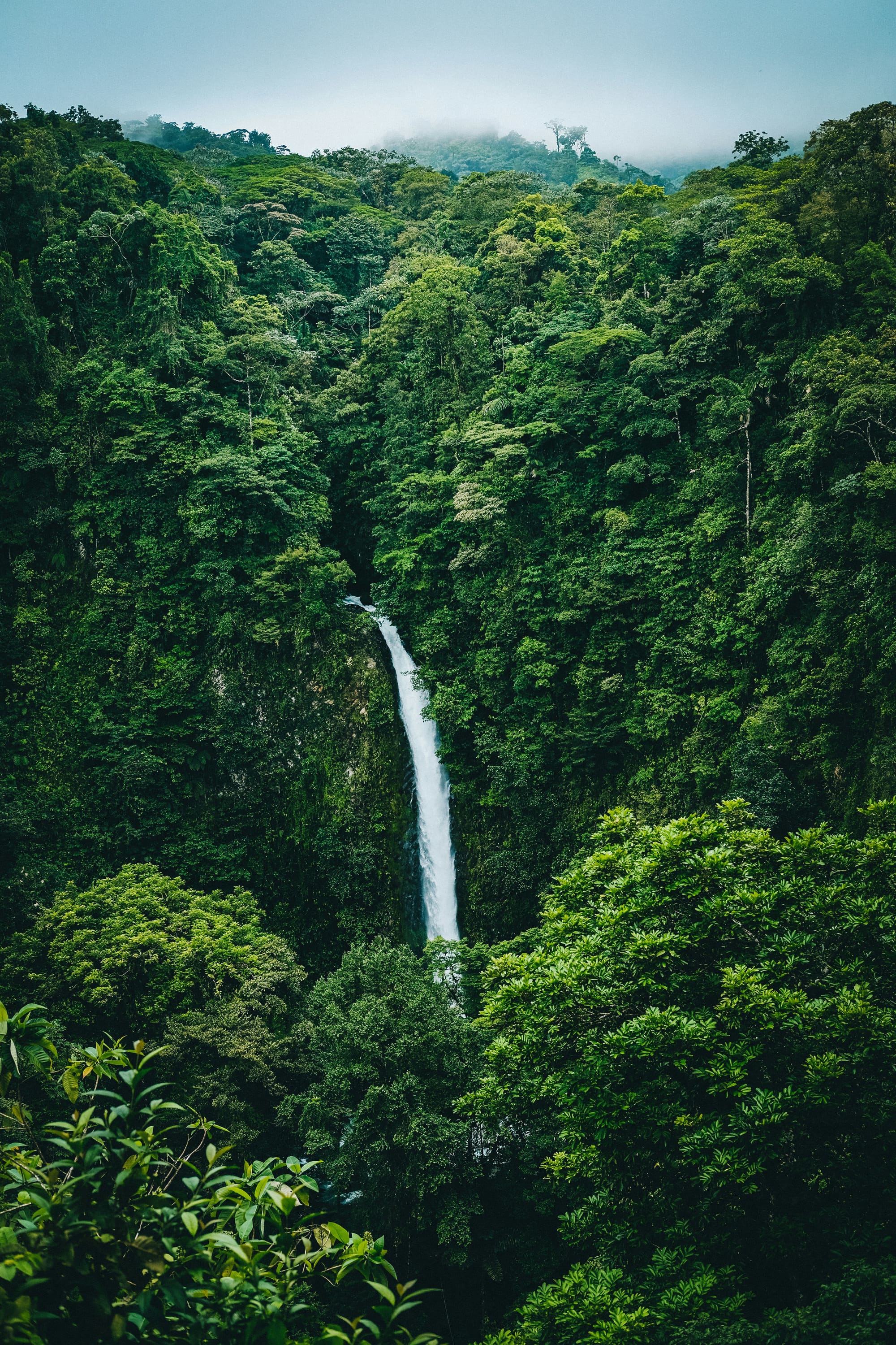 Costa Rica – Stage de survie en forêt tropicale, photo 7