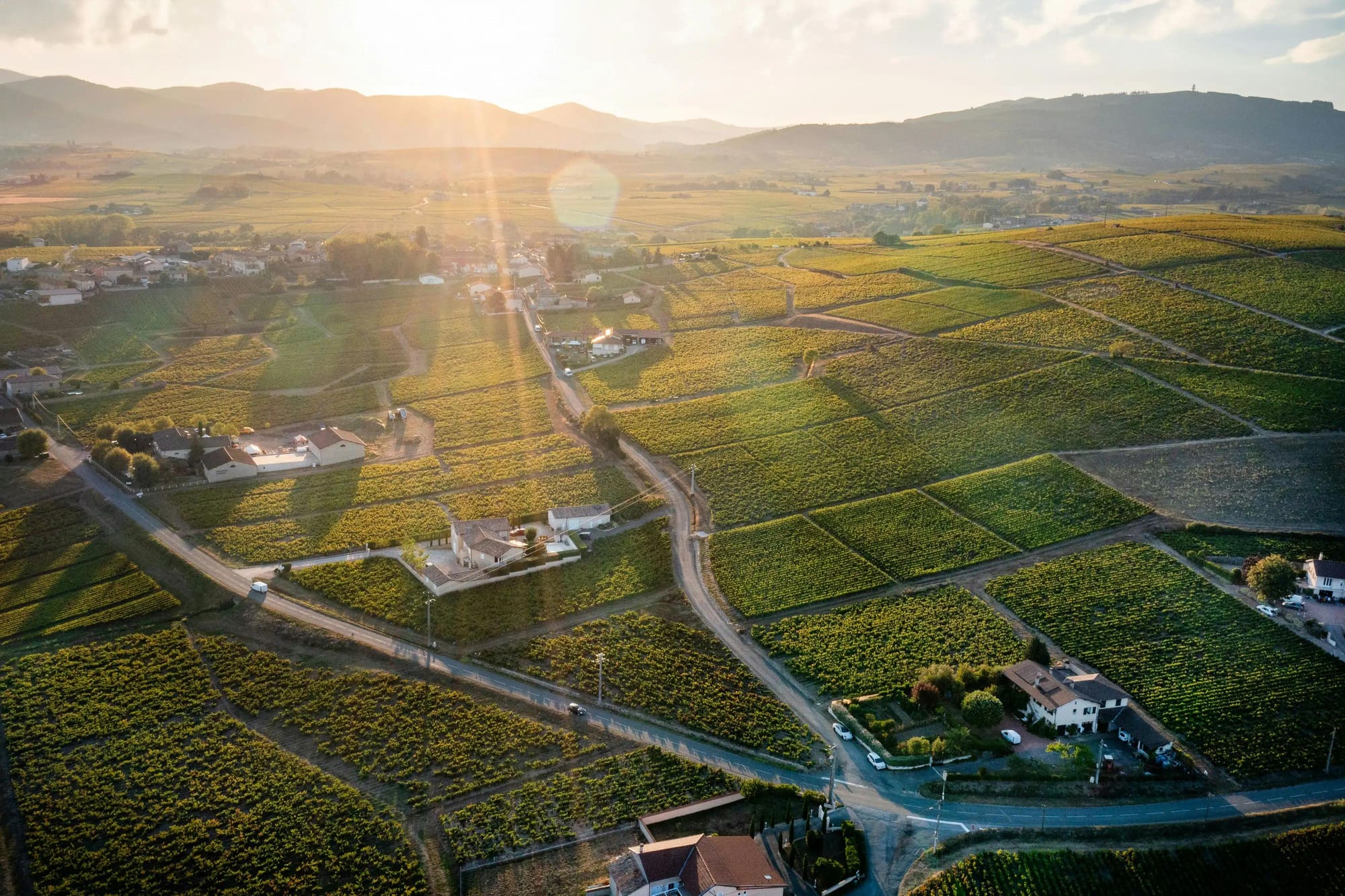 Beaujolais
"Architecture Viticole", photo 6